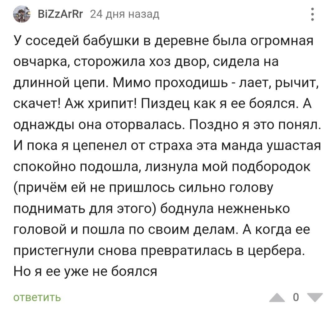 Кого бы здесь ещё облизать? | Пикабу