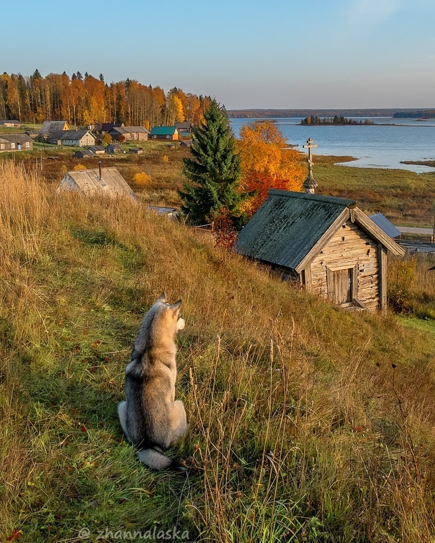 Национальный парк русский север фото