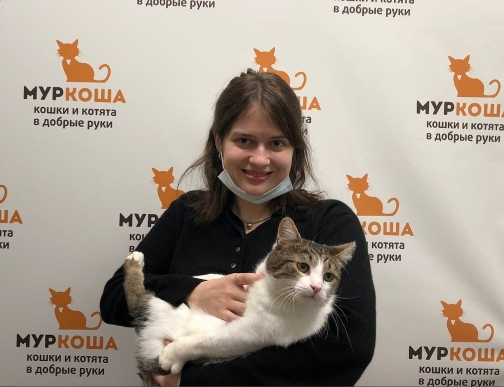 We are glad to share our successes with you - My, Murkosh shelter, Animal shelter, cat, Touching, Making the World Better, Found a home, Positive, Video, Longpost