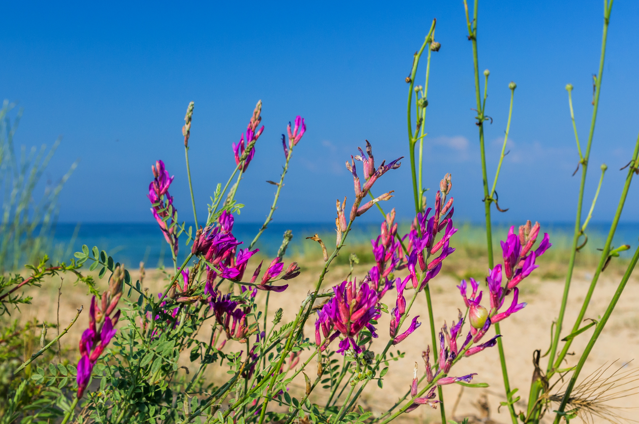 Morning somewhere near Evpatoria - My, Crimea, Nature, Sea, The photo, Travels, Reflection, Summer, Longpost