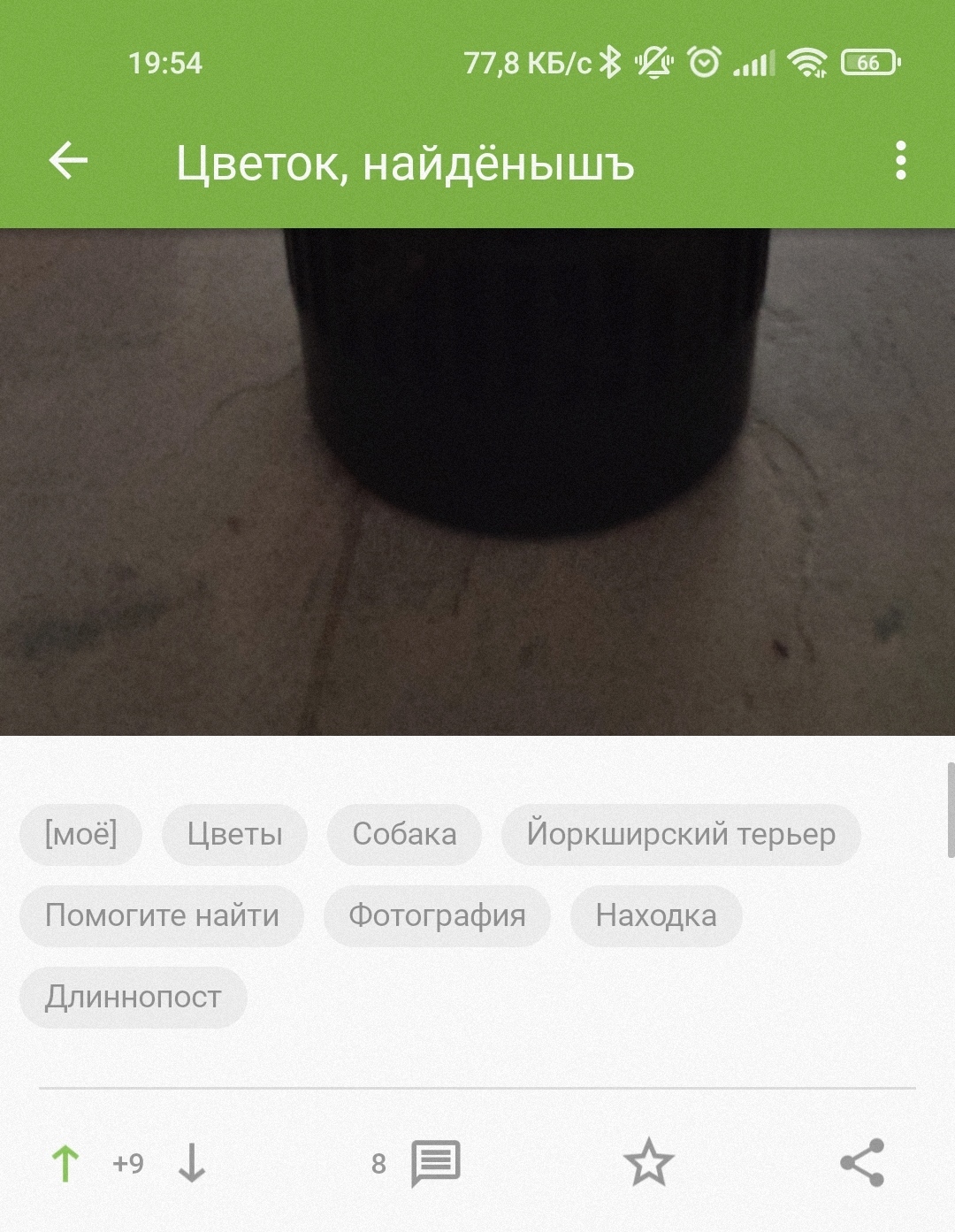 Д.бл.чт.с.Пкб - Моё, Скриншот, Пикабу, Уведомление, Собака, Цветы, Длиннопост