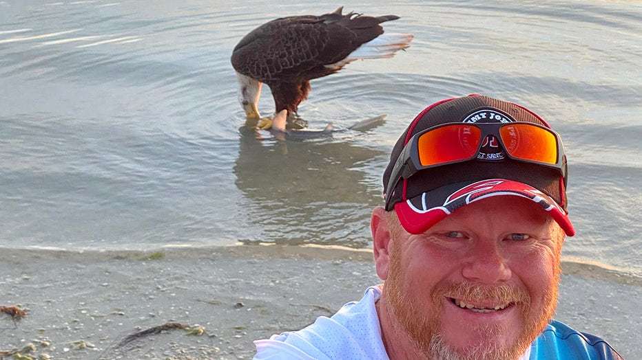 Bald eagle in the United States stole a shark from fishermen - Bald eagle, Hawks, Predatory animals, Shark, Interesting, Fishing, Predator birds, Birds, Catch, Fishermen, USA, Florida, Video