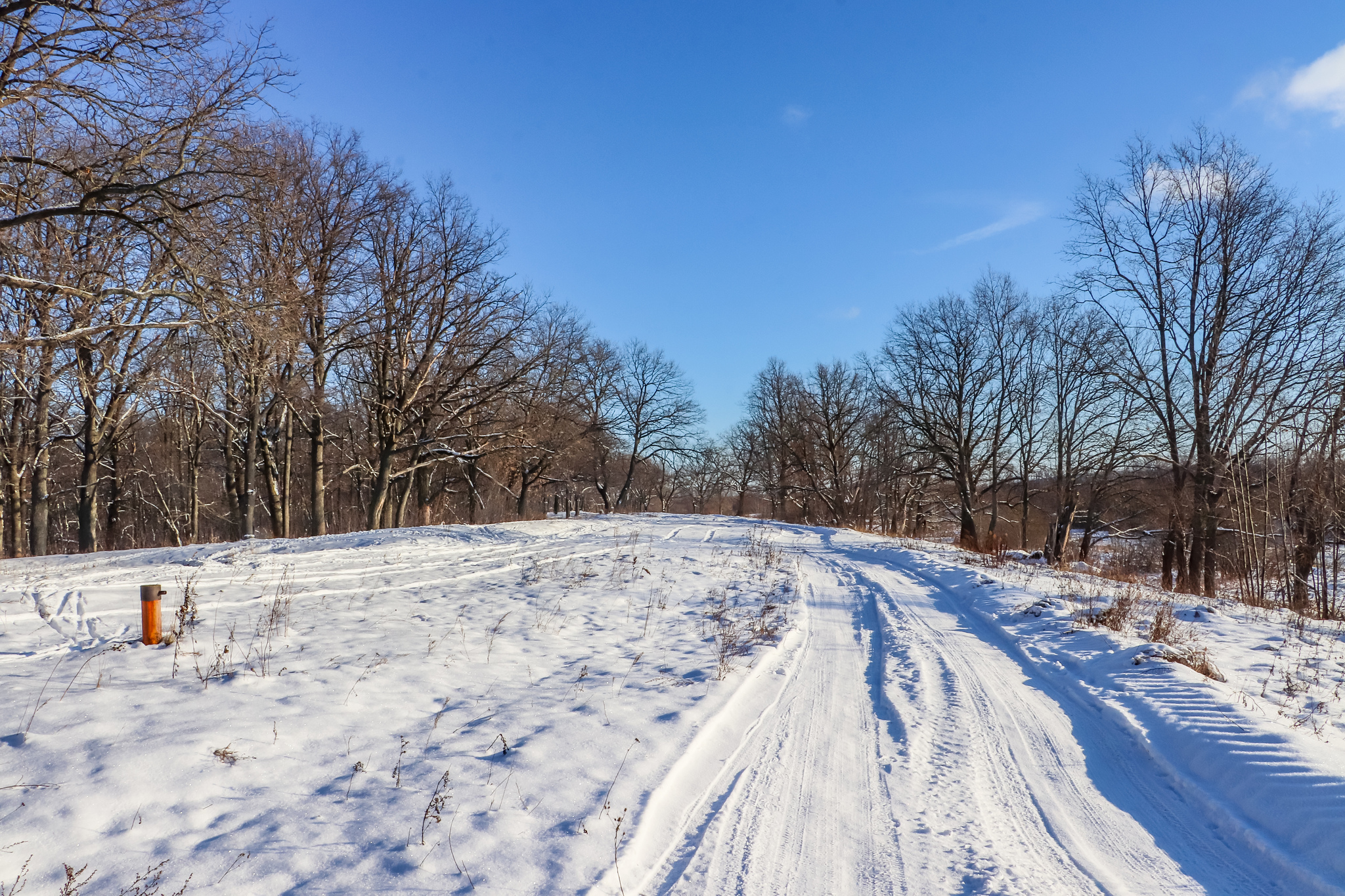 Frosty sketches - My, A bike, Bike ride, Snow, Nature, Landscape, Video, Longpost