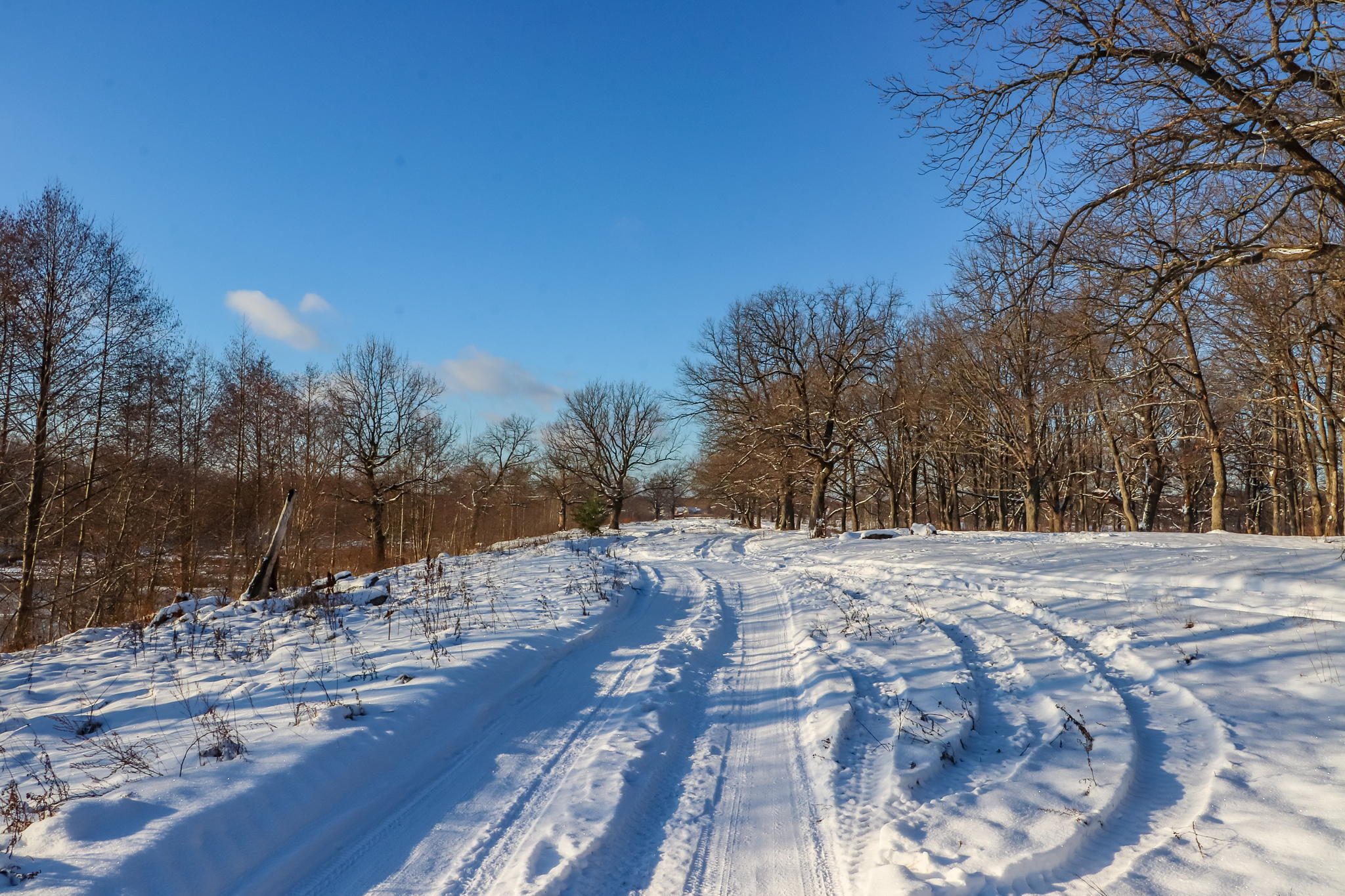 Frosty sketches - My, A bike, Bike ride, Snow, Nature, Landscape, Video, Longpost