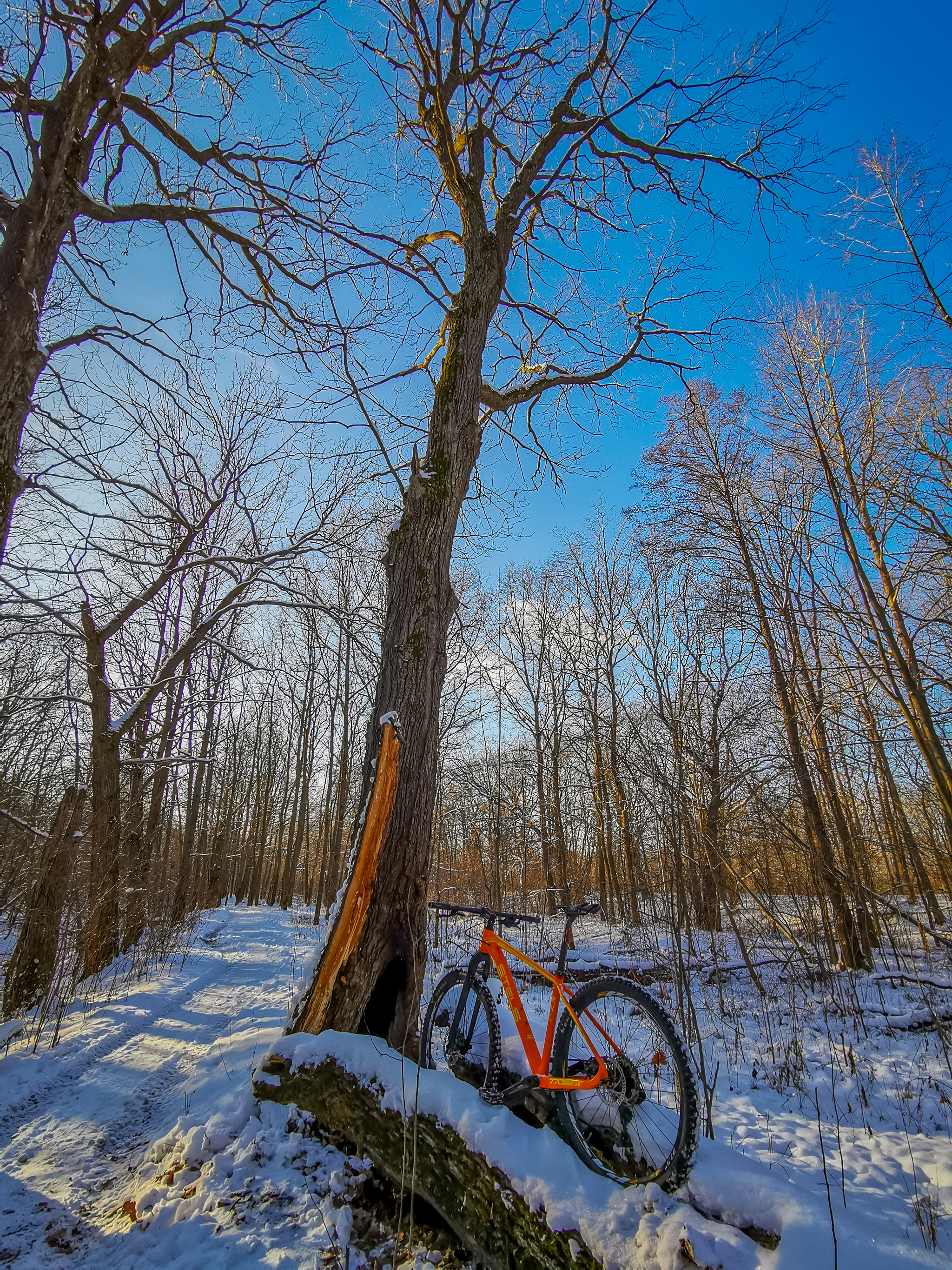 Frosty sketches - My, A bike, Bike ride, Snow, Nature, Landscape, Video, Longpost