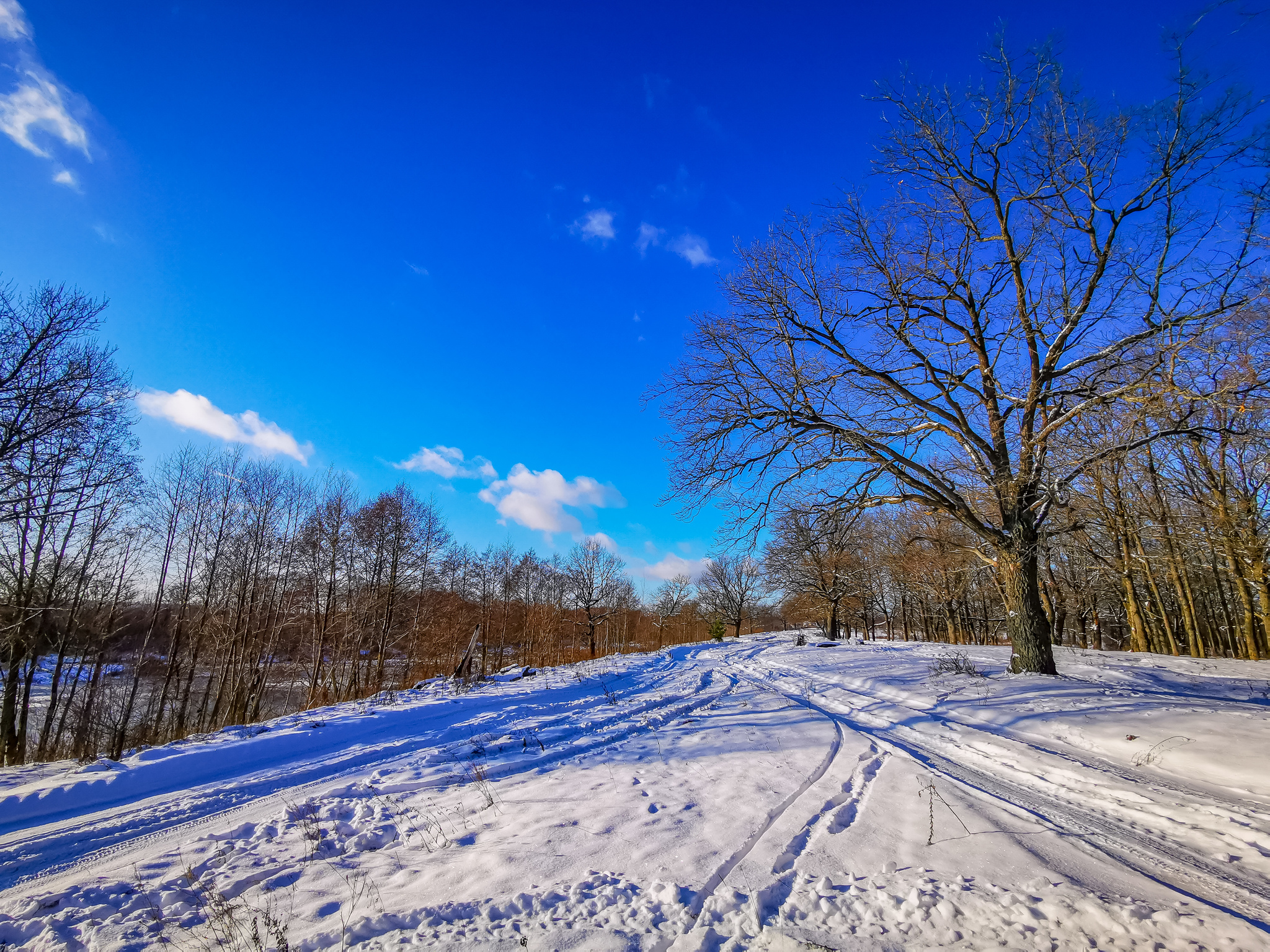 Frosty sketches - My, A bike, Bike ride, Snow, Nature, Landscape, Video, Longpost