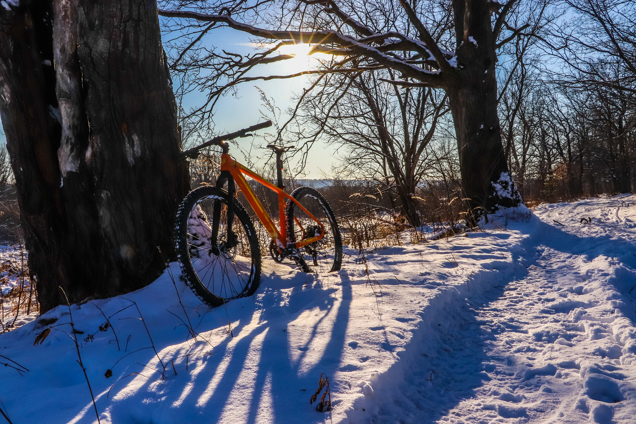 Frosty sketches - My, A bike, Bike ride, Snow, Nature, Landscape, Video, Longpost