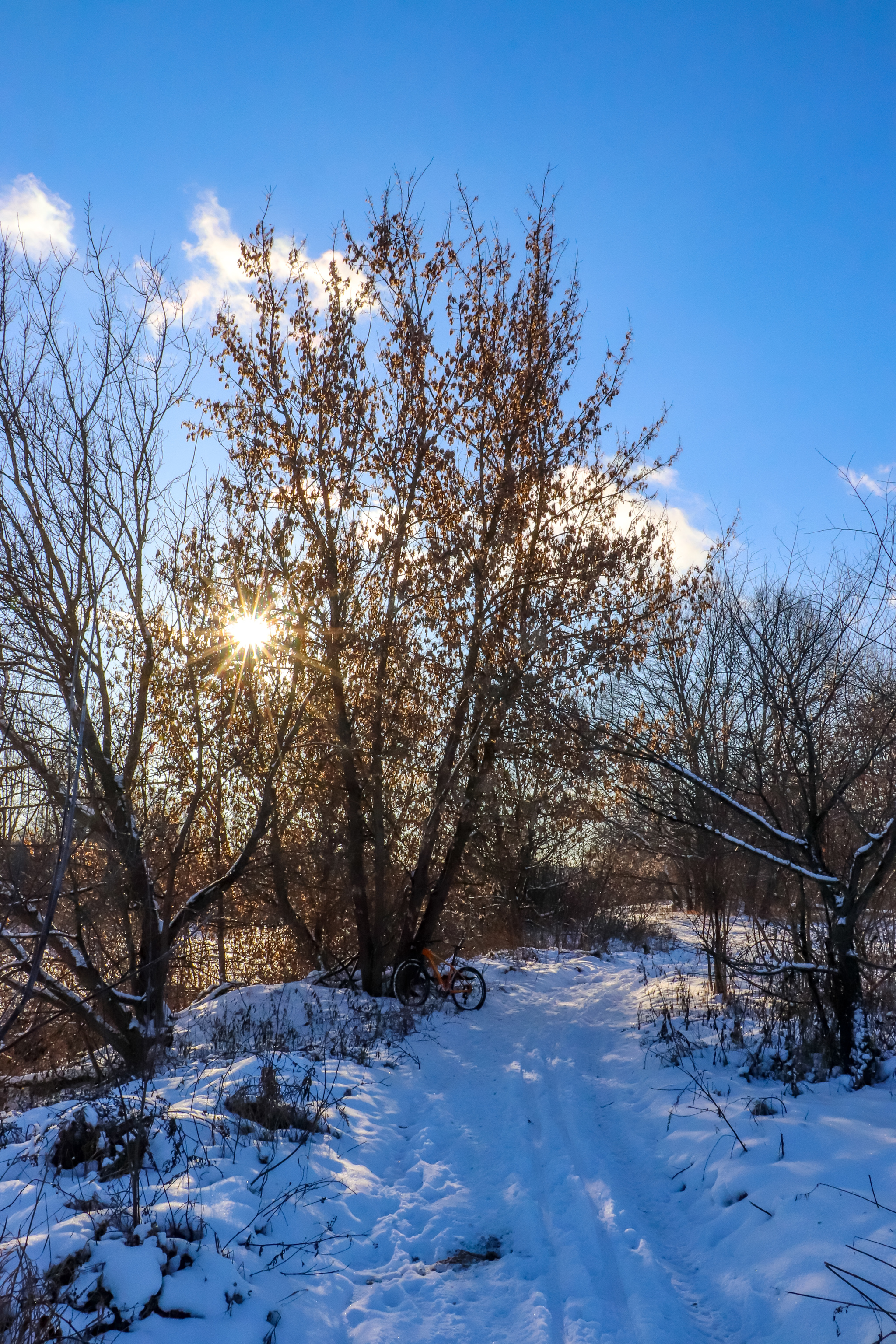 Frosty sketches - My, A bike, Bike ride, Snow, Nature, Landscape, Video, Longpost