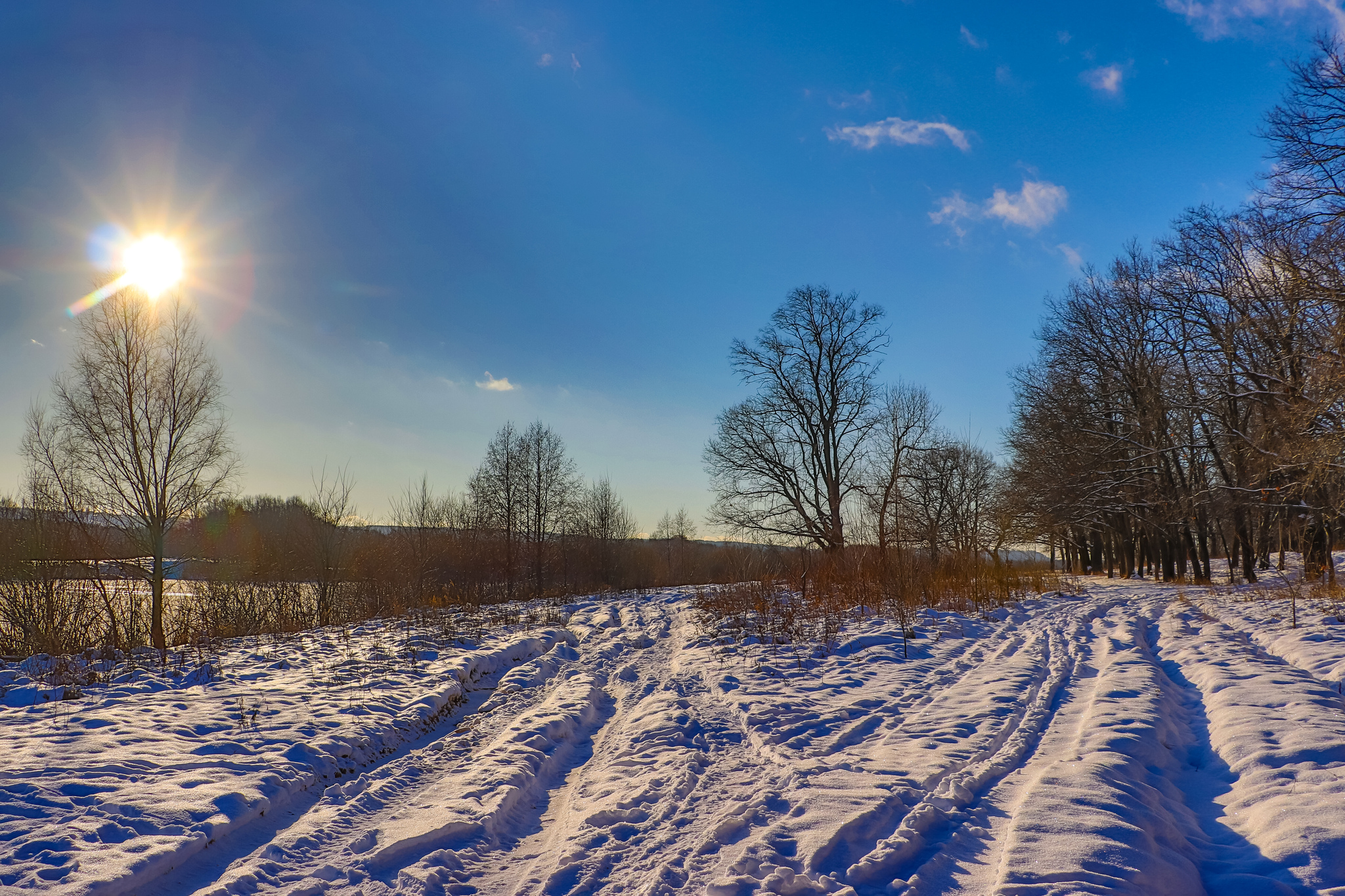 Frosty sketches - My, A bike, Bike ride, Snow, Nature, Landscape, Video, Longpost