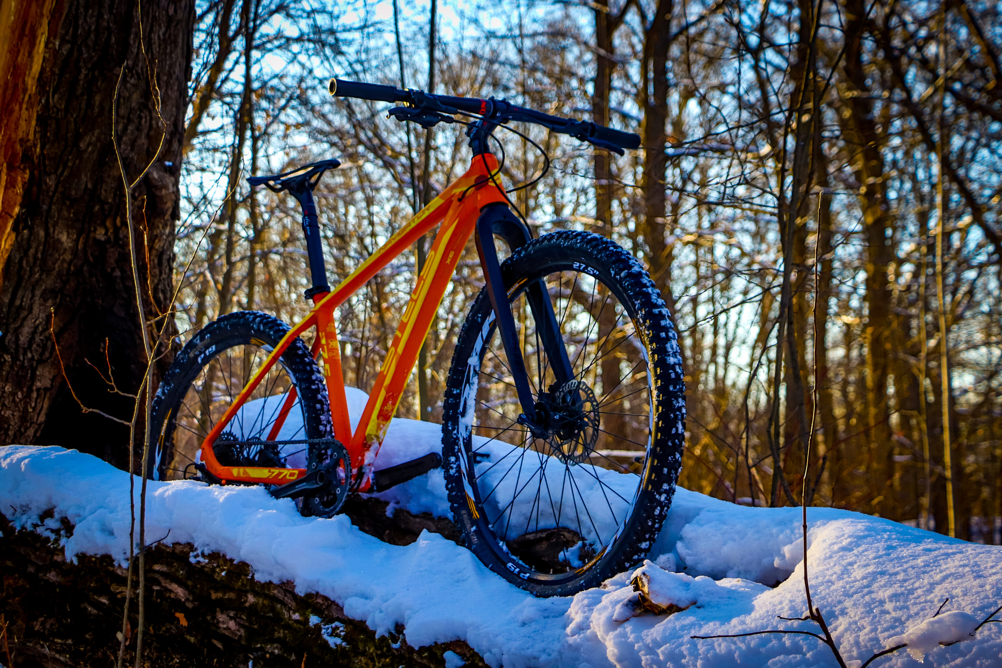 Frosty sketches - My, A bike, Bike ride, Snow, Nature, Landscape, Video, Longpost