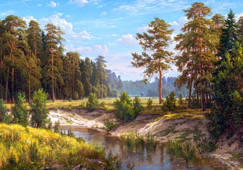 Summer landscapes, Sergey Basov. - Art, Landscape, Russia, Nature, Longpost