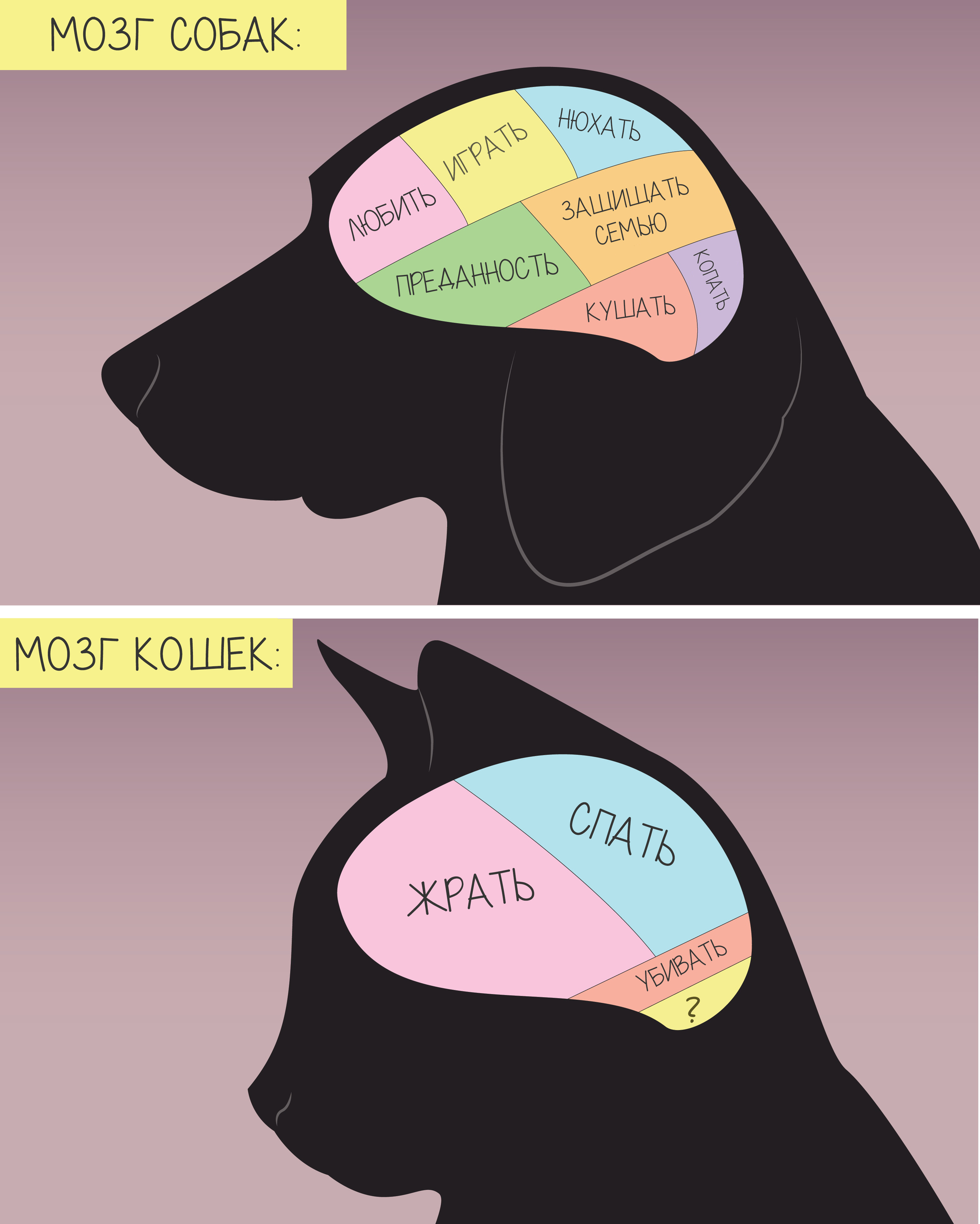 Somewhat controversial and generalized, but there is something in it. - cat, Dog, Brain, Comparison, Picture with text