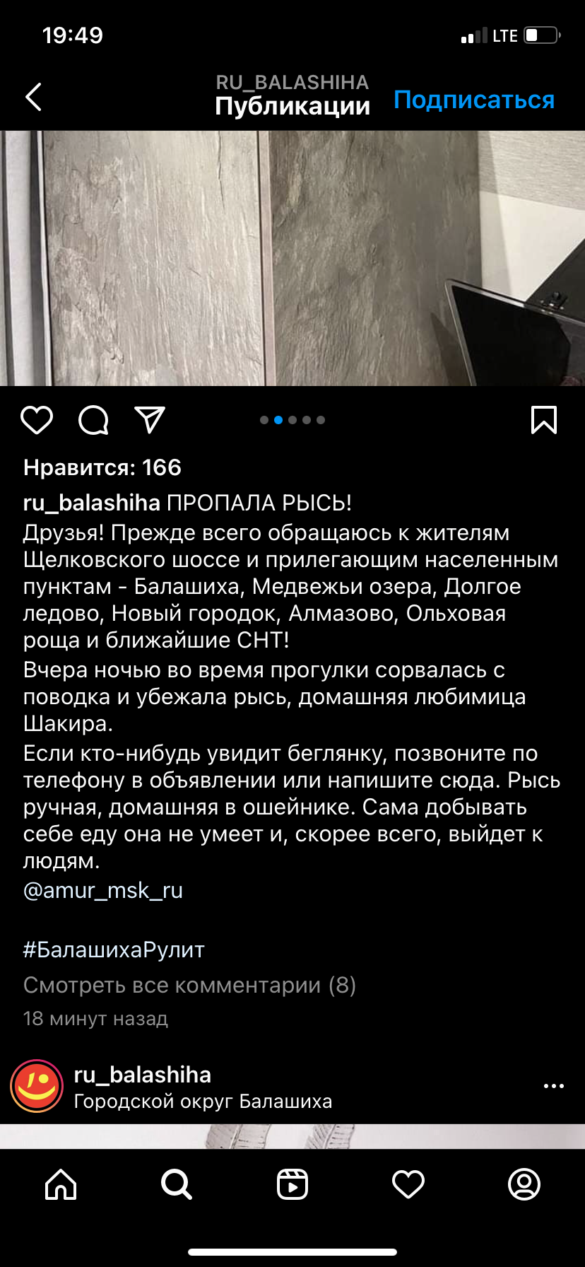 Announcement in Balashikha group - Announcement, Lynx, Search for animals, Longpost, Screenshot