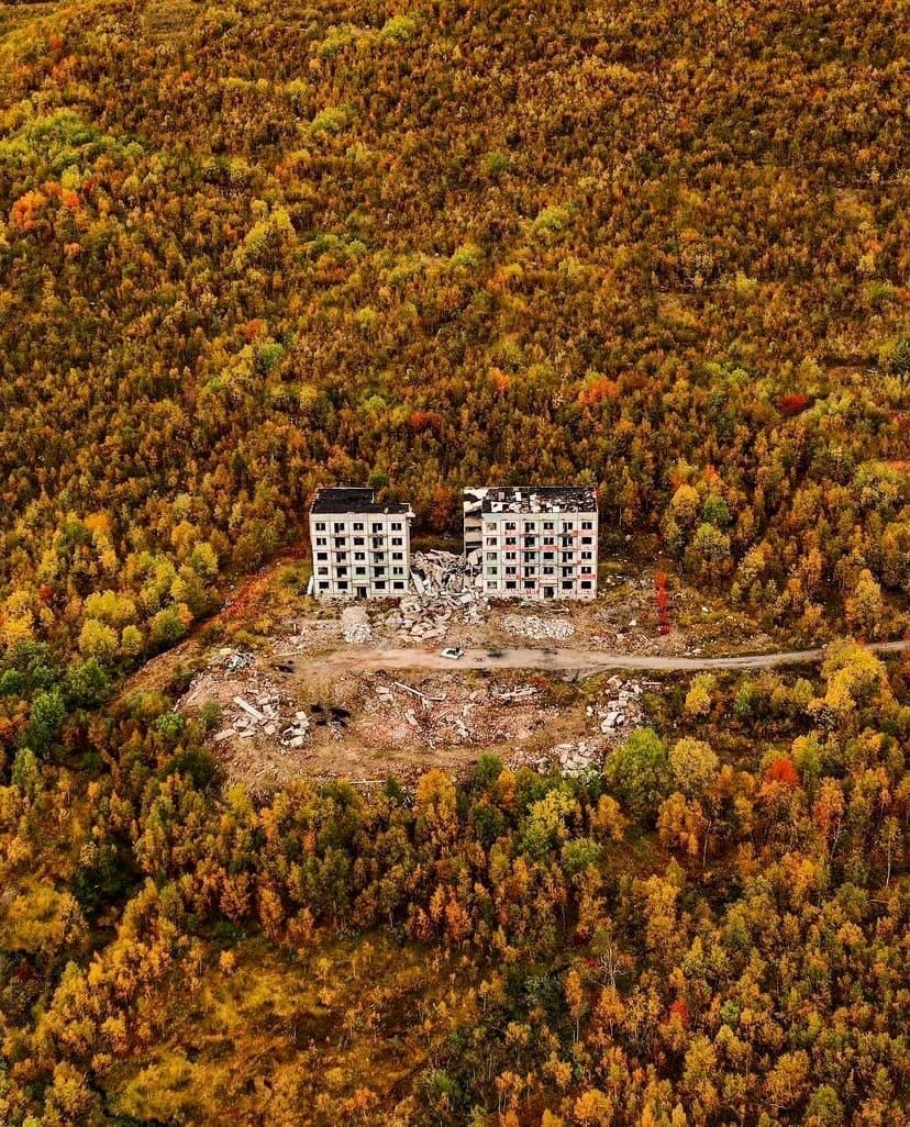 Autumn forest - Forest, Autumn, Abandoned