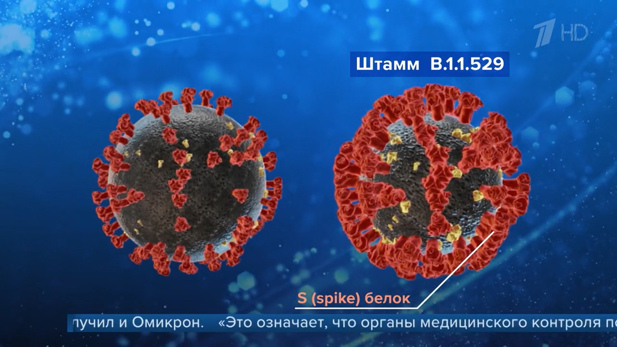 A new strain of coronavirus Omicron, which is more resistant and contagious than Delta, is of serious concern in Europe and the WHO - Coronavirus, Pandemic, Vaccination, Vaccine, South Africa, Mutation, Delta, First channel, Society, WHO, Longpost, Video, Omicron