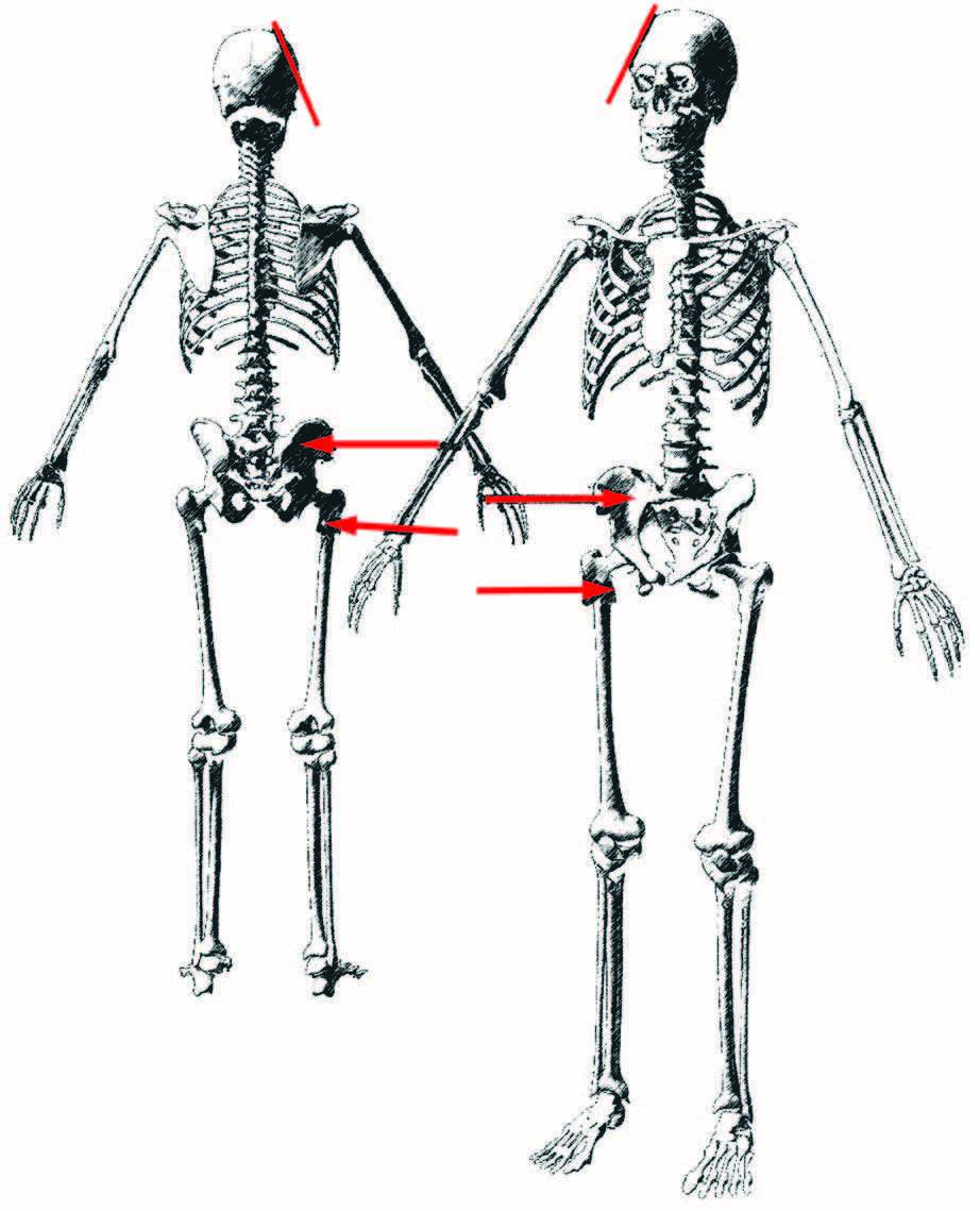 Eagle claws. - My, Ancient Rome, Antiquity, Sword, Steel arms, Legionnaires, Romans, Metallography, Longpost