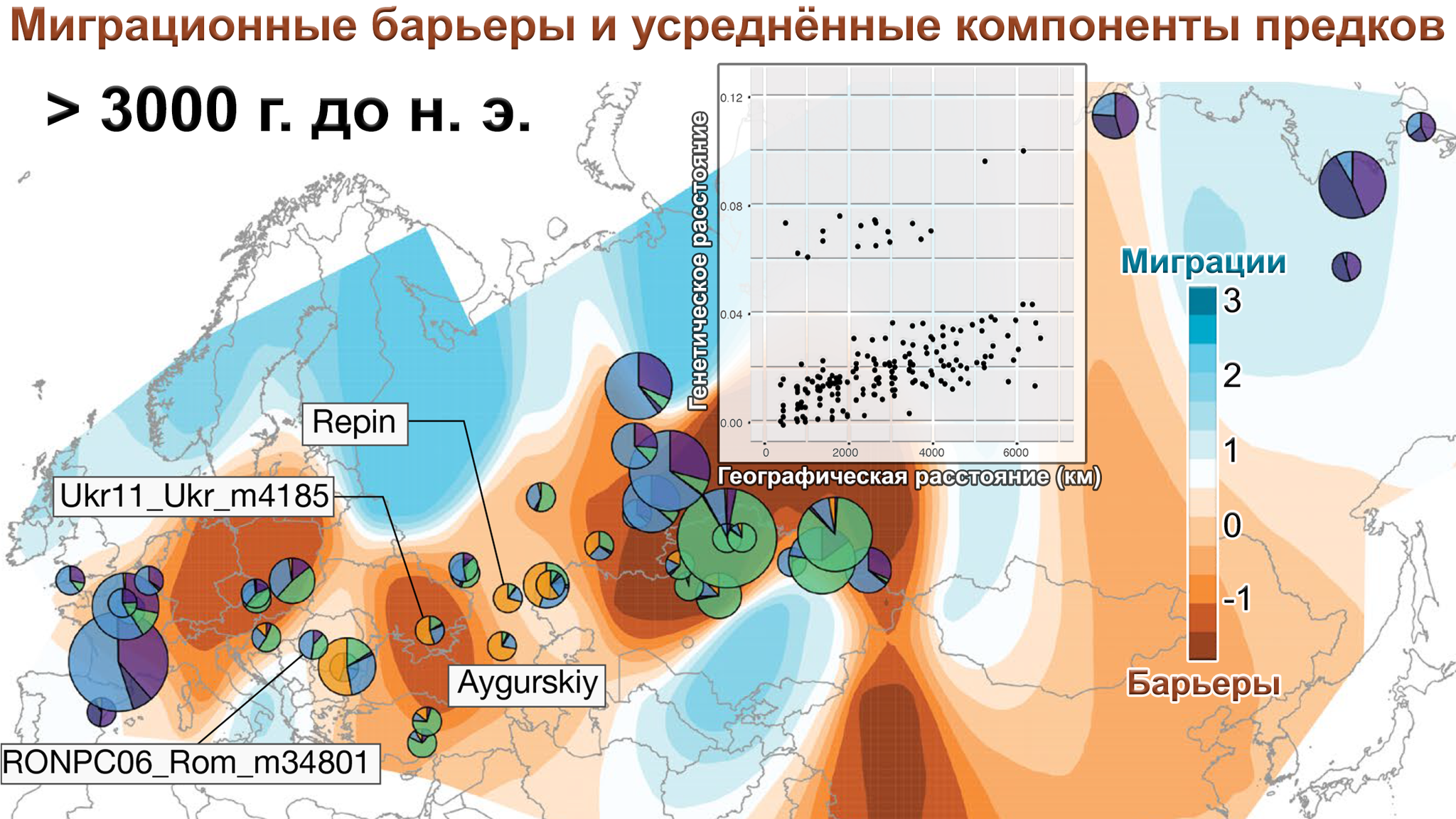 Where is the ancestral home of modern domestic horses and their role in the spread of Indo-European languages - My, The science, Story, Horses, Indo-Europeans, Domestication, Origin, Population genetics, Indo-European languages, Aria, История России, Video, Longpost