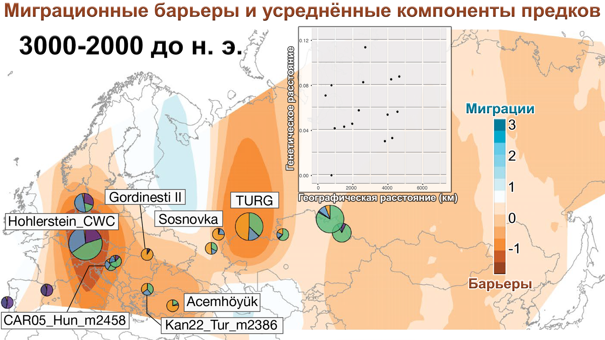 Where is the ancestral home of modern domestic horses and their role in the spread of Indo-European languages - My, The science, Story, Horses, Indo-Europeans, Domestication, Origin, Population genetics, Indo-European languages, Aria, История России, Video, Longpost