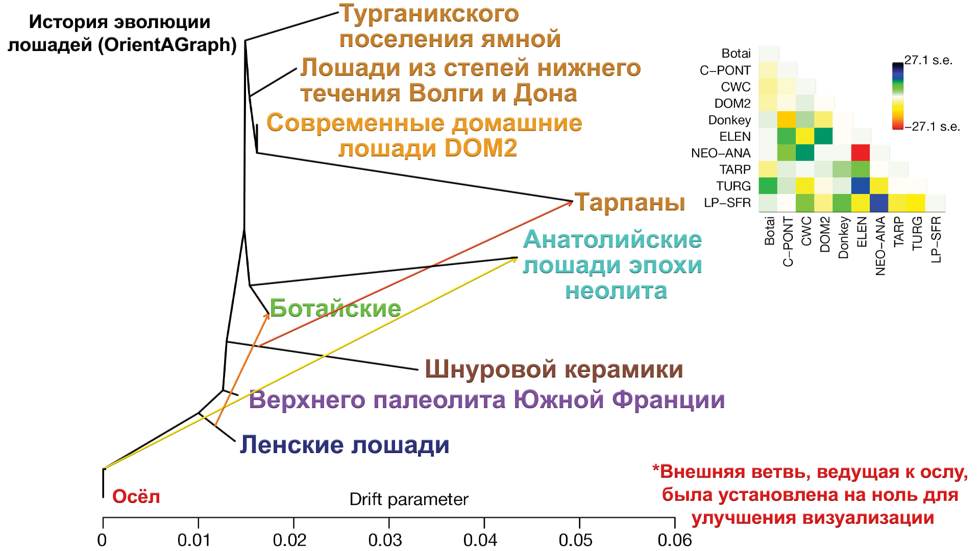 Where is the ancestral home of modern domestic horses and their role in the spread of Indo-European languages - My, The science, Story, Horses, Indo-Europeans, Domestication, Origin, Population genetics, Indo-European languages, Aria, История России, Video, Longpost