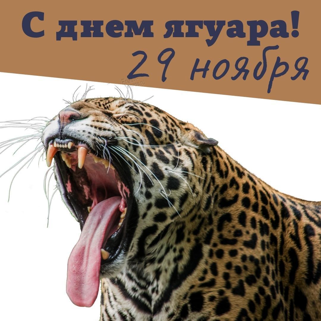 С Днём любителя острых ощущений - 29.11.21 07:55 | Пикабу