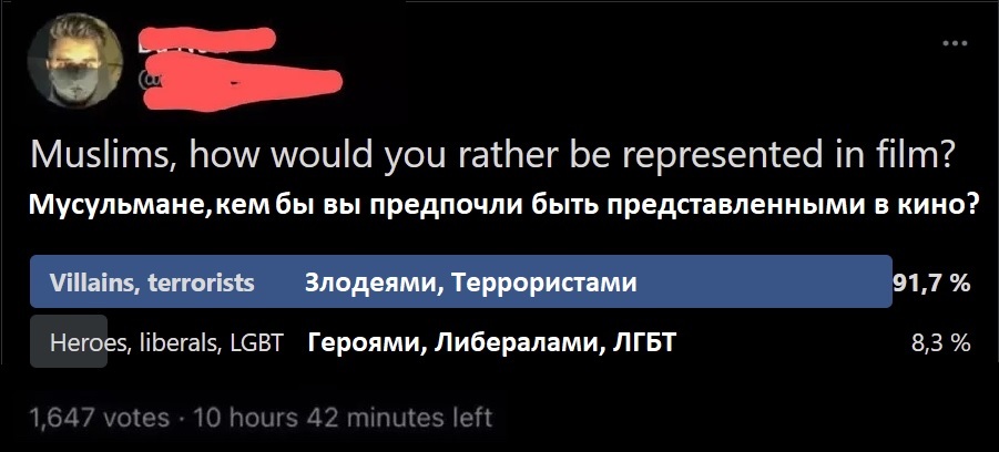 О предпочтениях - Скриншот, Twitter, Выбор, Мусульмане, Кинематограф