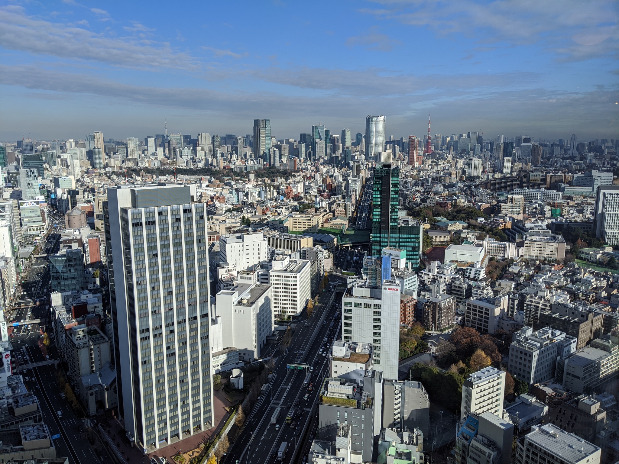 Tokyo from above - My, Japan, Tokyo, The photo, Mobile photography, Skyscraper