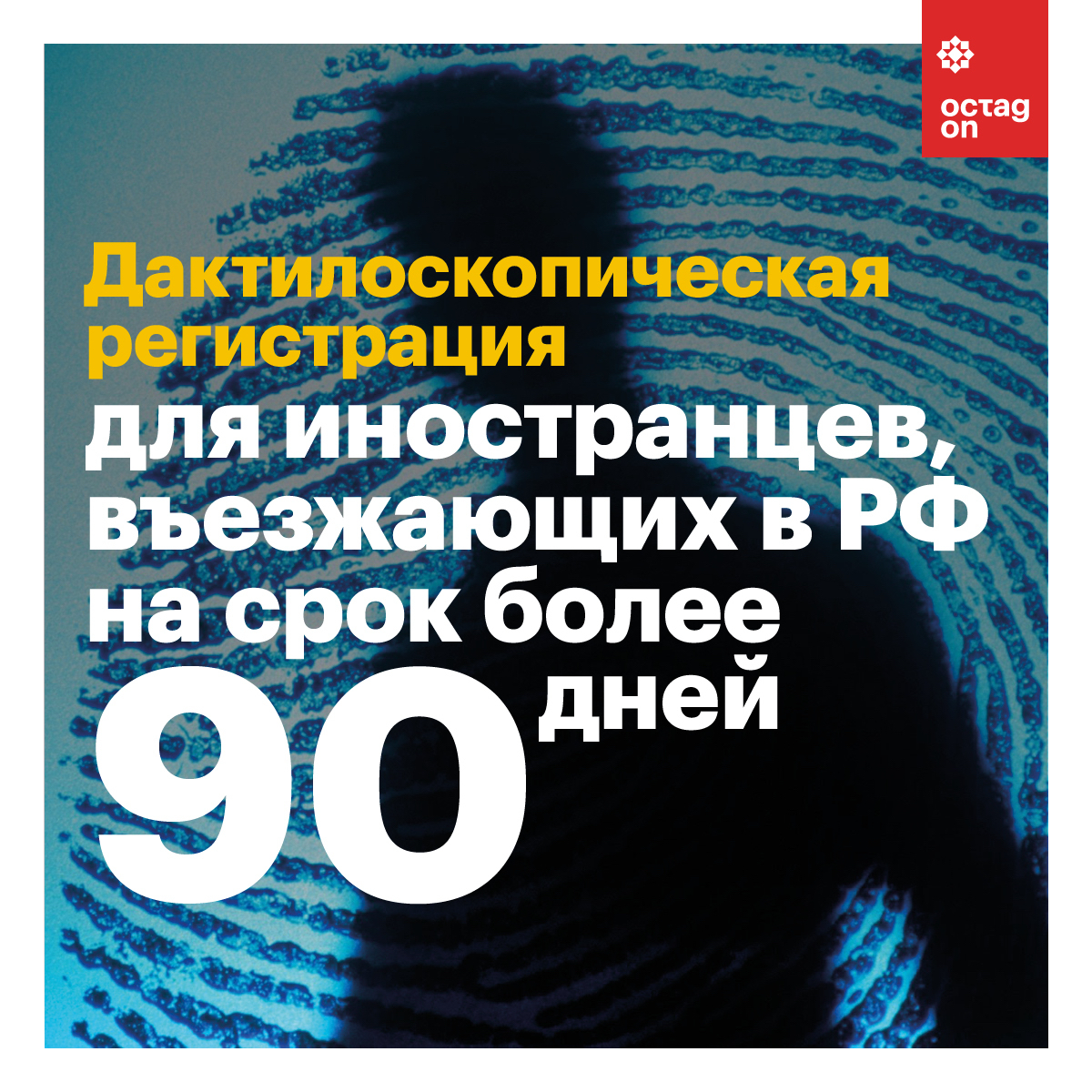 Что изменится в жизни россиян с 1 декабря - Моё, Визуал, Закон, Нововведение, Россия, Длиннопост