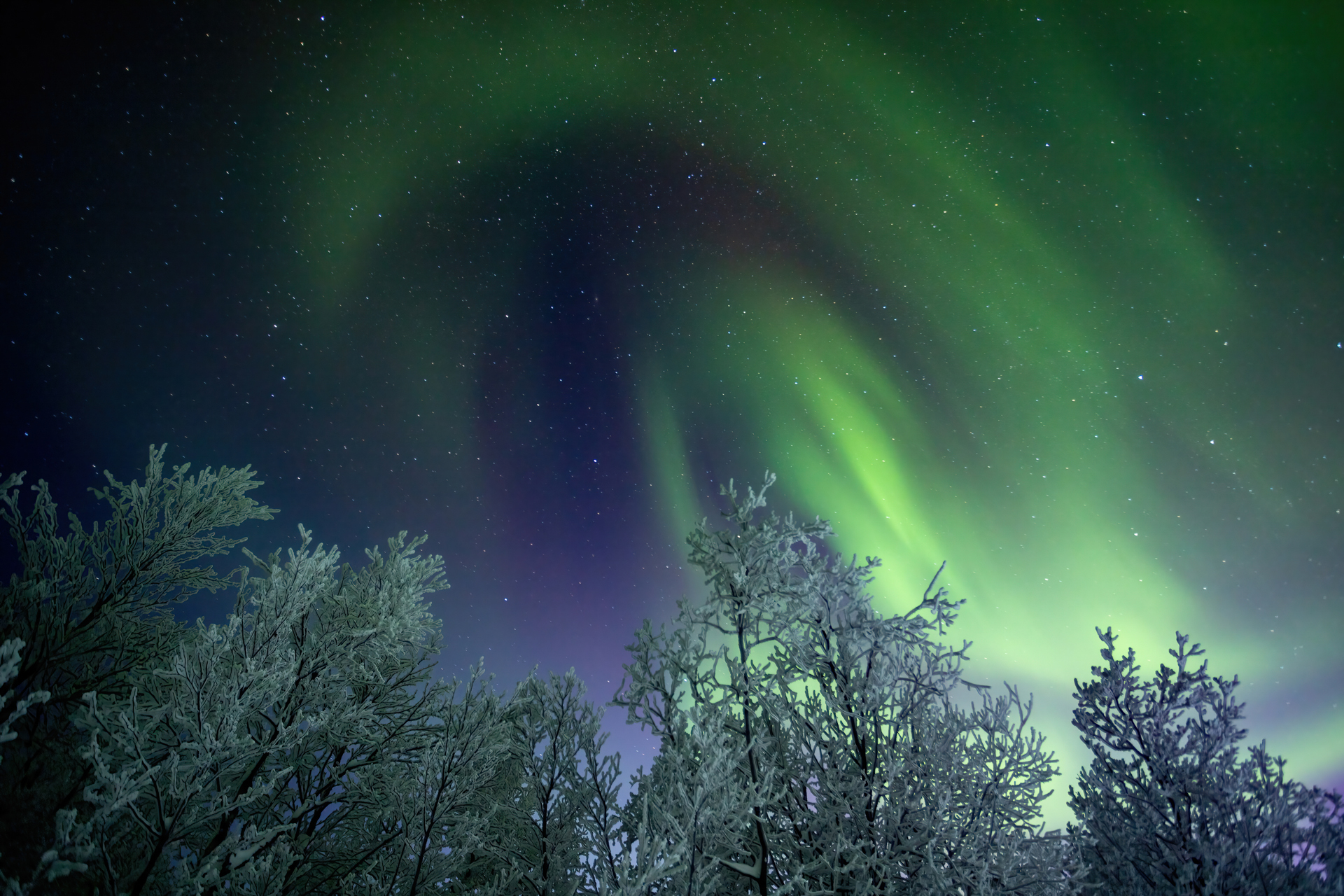 Northern lights near Murmansk - My, Polar Lights, Murmansk, The photo, Canon, Longpost