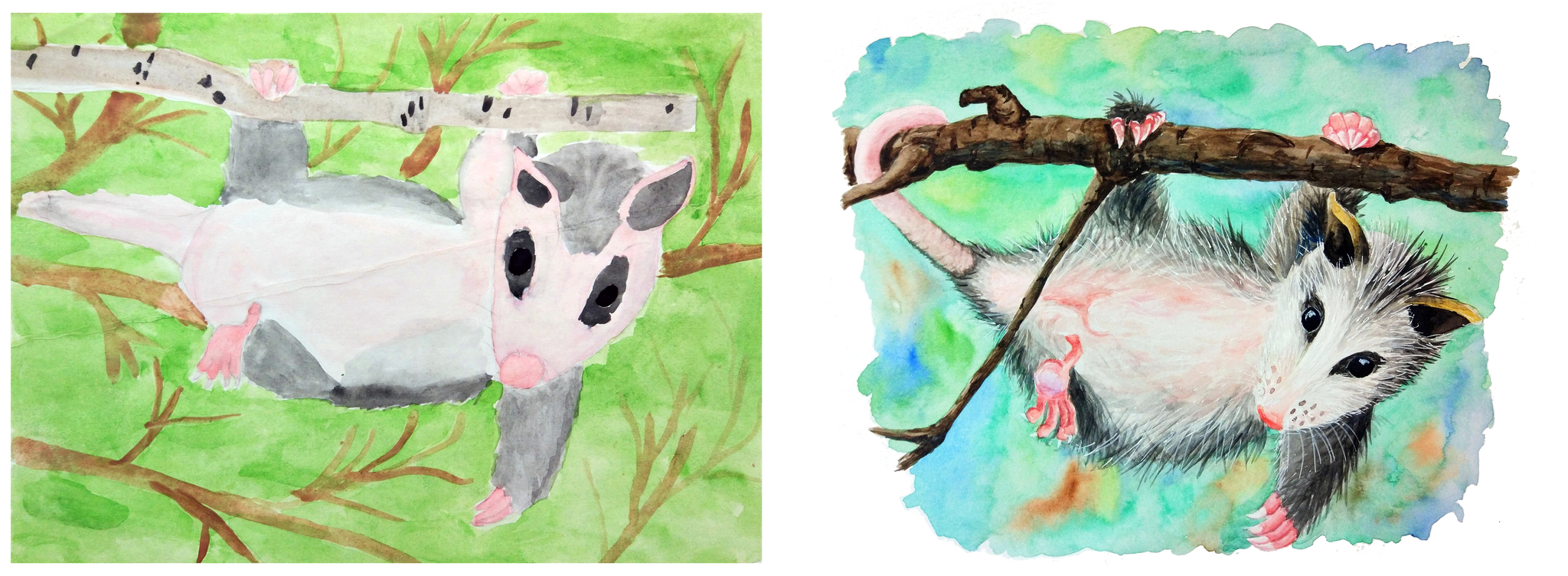 Possum aged 25 years - My, Watercolor, Drawing, Opossum, Childhood, It Was-It Was, Longpost