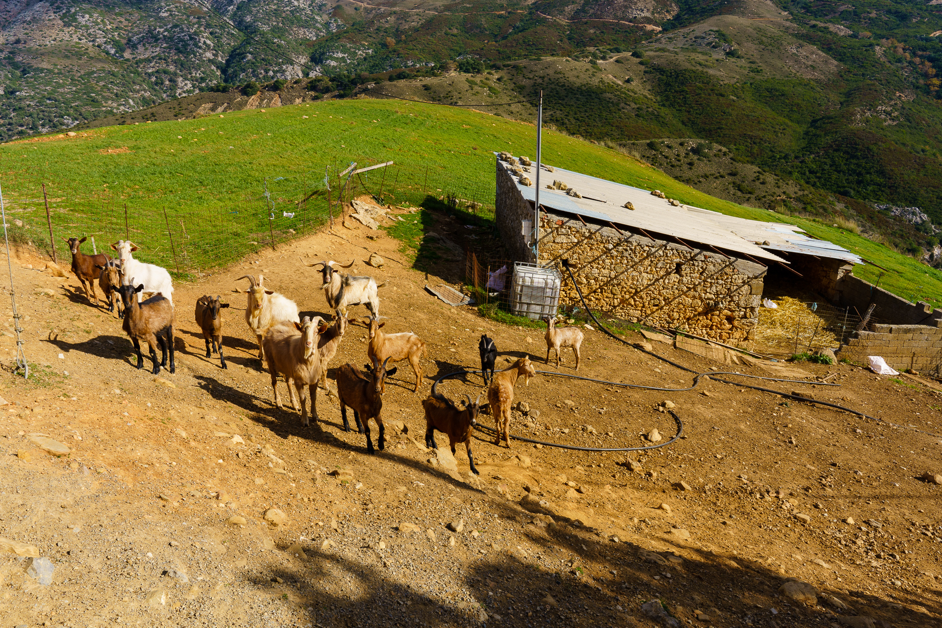 Landscapes of one day, Crete - My, Crete, Greece, Rethymnon, The photo, Longpost