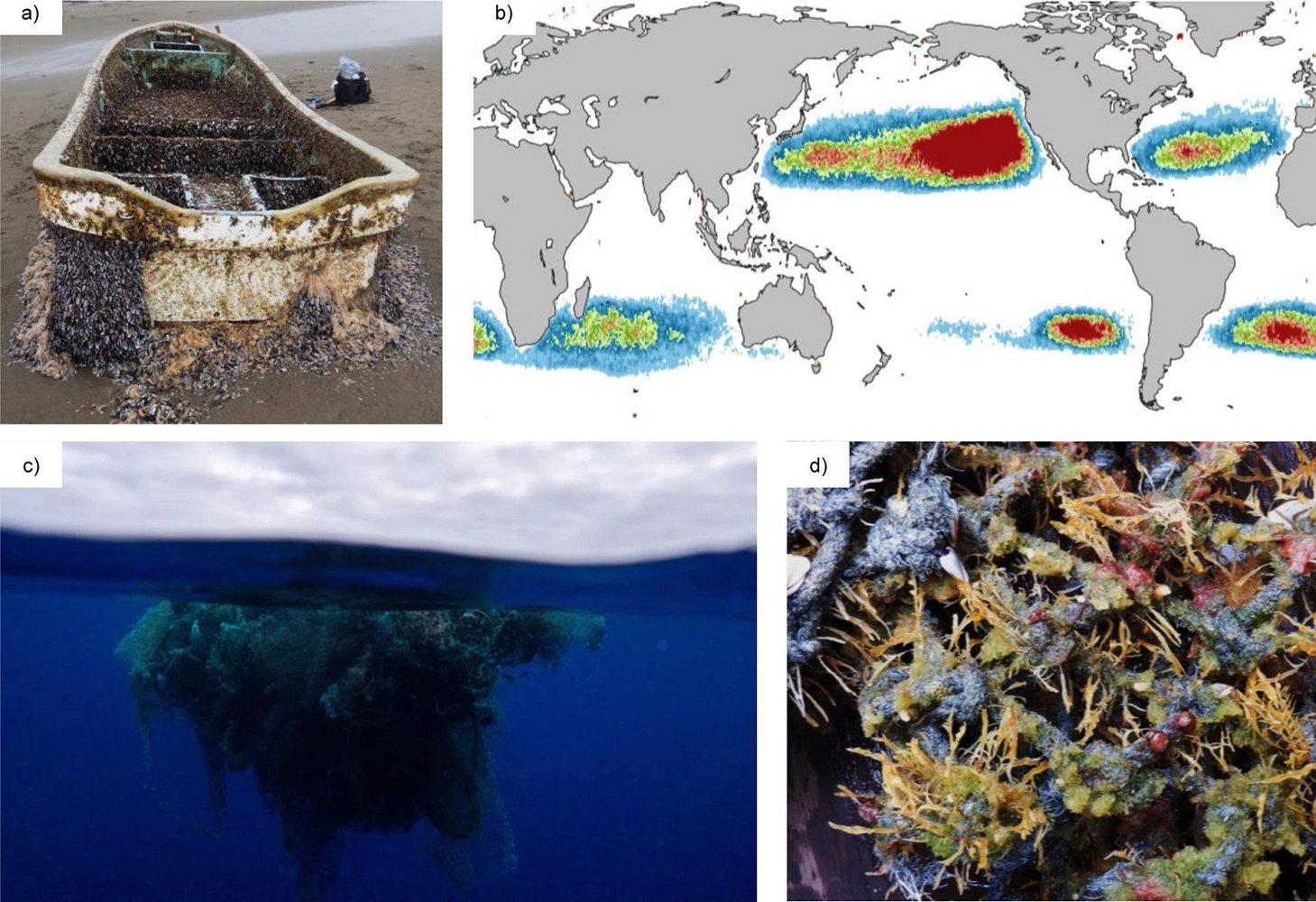 Marine animals have adapted plastic for their own good - Marine life, Plastic, Invasive species, Spreading, Animals, Scientists, Biologists, The national geographic, Longpost, Interesting