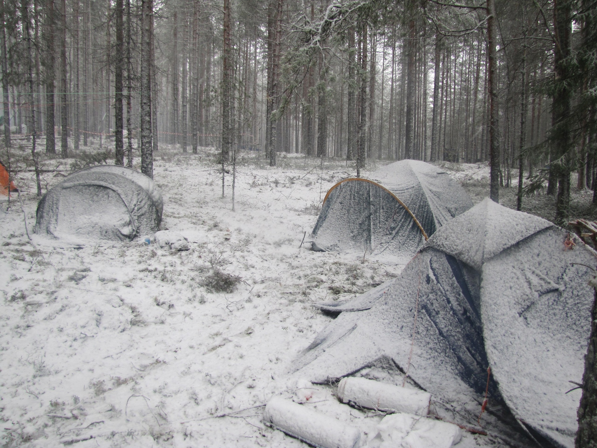 Why is it hungover or cooking under the snow? - My, Longpost, Street food, The festival, Nostalgia