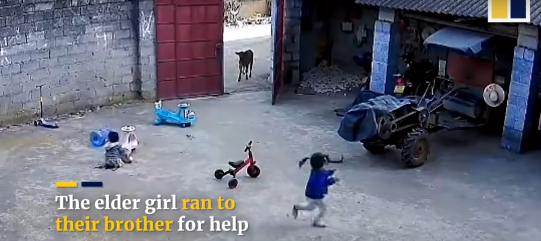 Older brother rushes to the rescue - China, Children, Milota, Head of the House, Video, Longpost