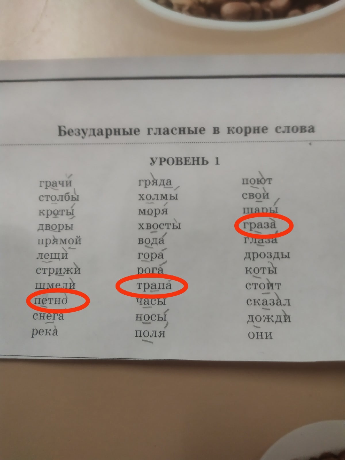 Домашнее задание) | Пикабу