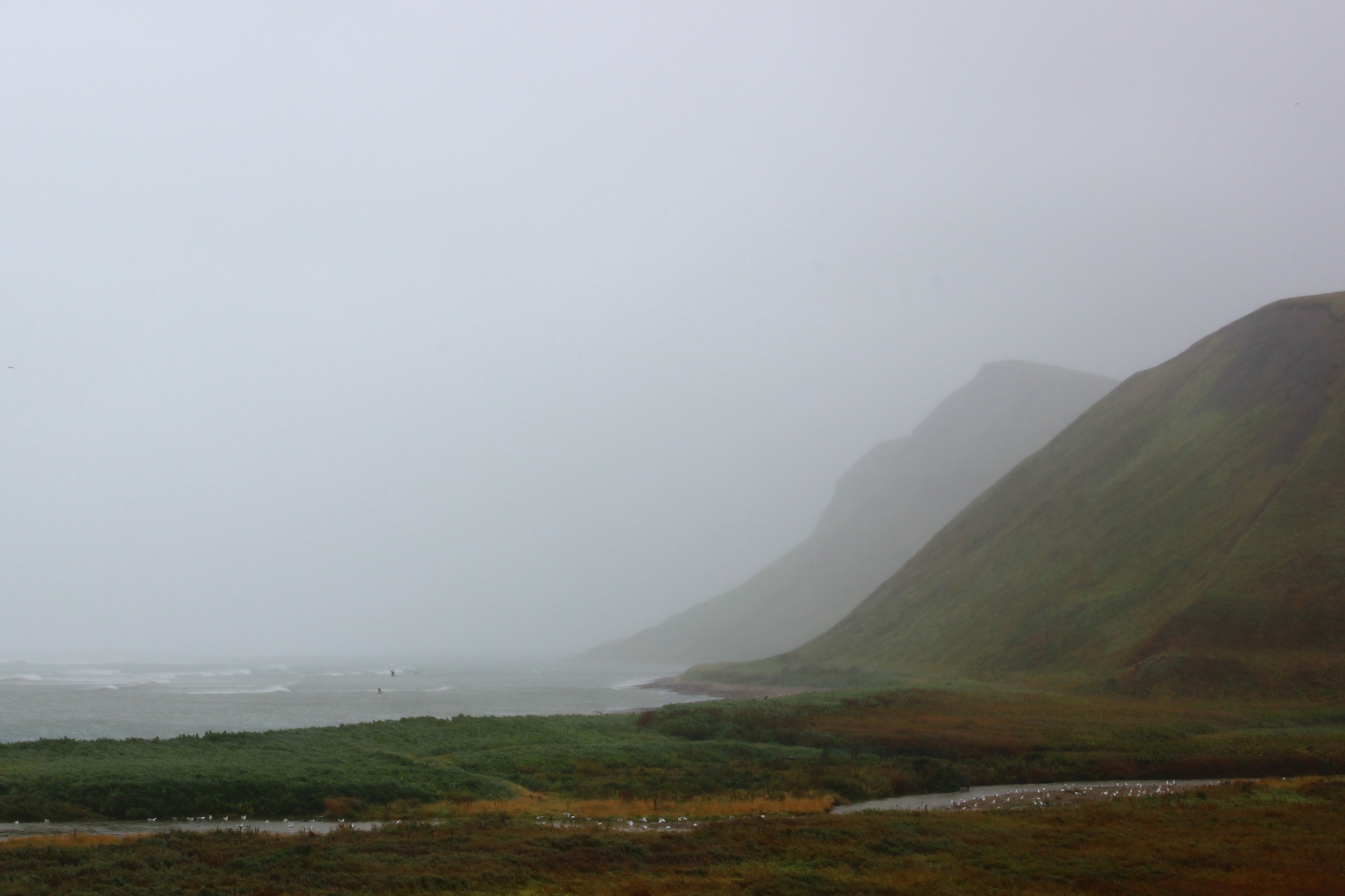 Just a view from the window of the cordon for the year - My, Images, Commander Islands, Bering Island, Kamchatka, wildlife, Reserves and sanctuaries, beauty of nature, Picturesque, View from the window, Sunrises and sunsets, Sky, Seasons, Bering Sea, Pacific Ocean, Longpost