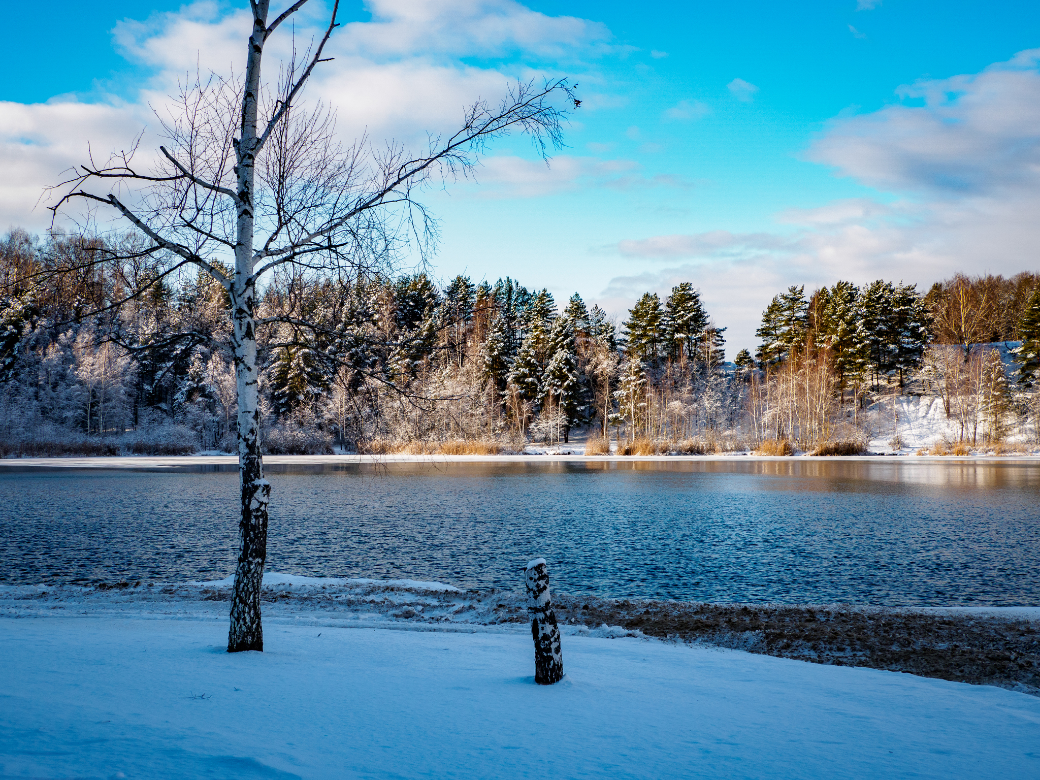 Winter comes into its own - My, The photo, beauty of nature, The nature of Russia, Winter