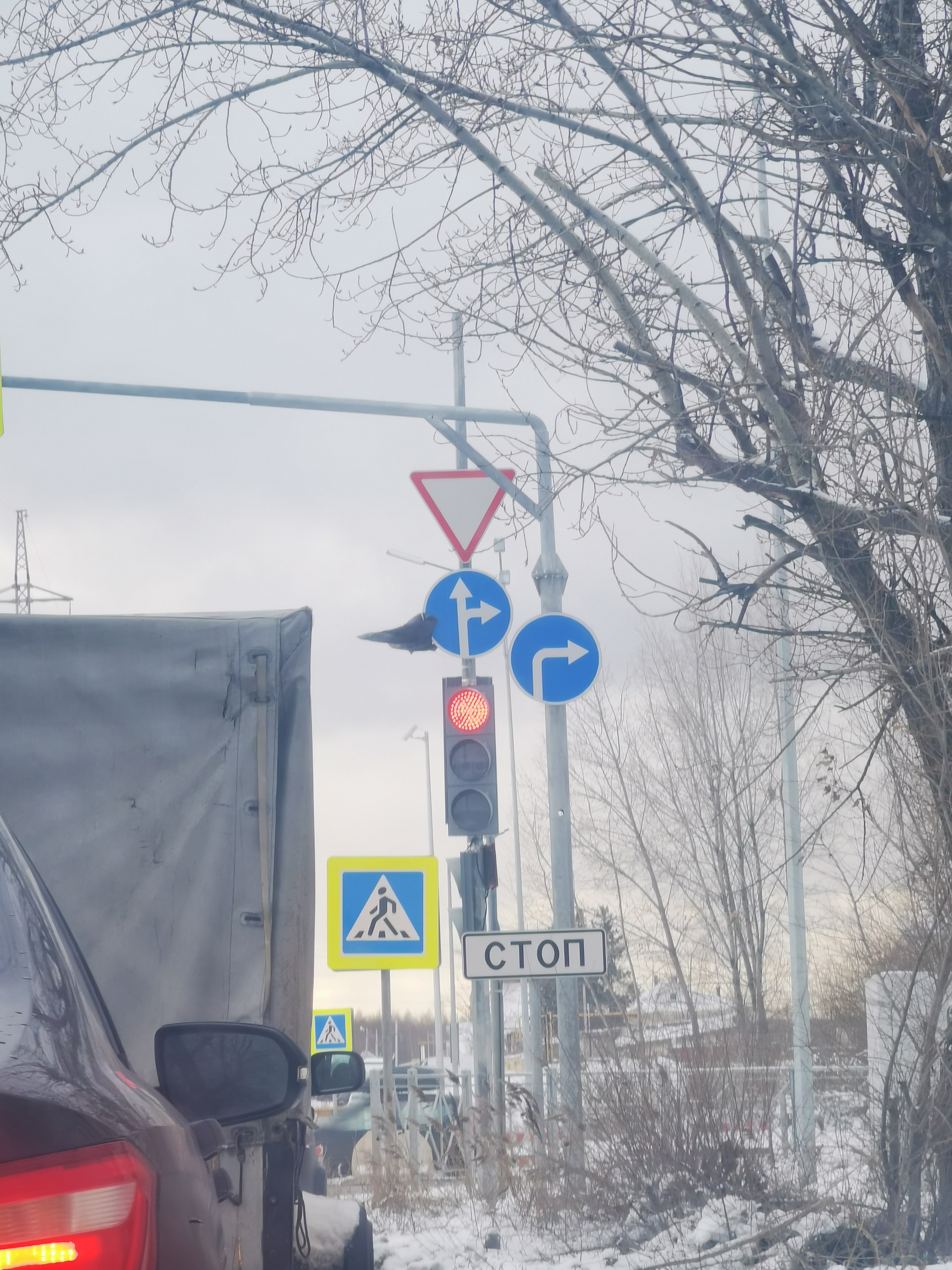 While the red is standing, and then it feels - My, Road sign, Traffic lights, Traffic rules, Violation of traffic rules