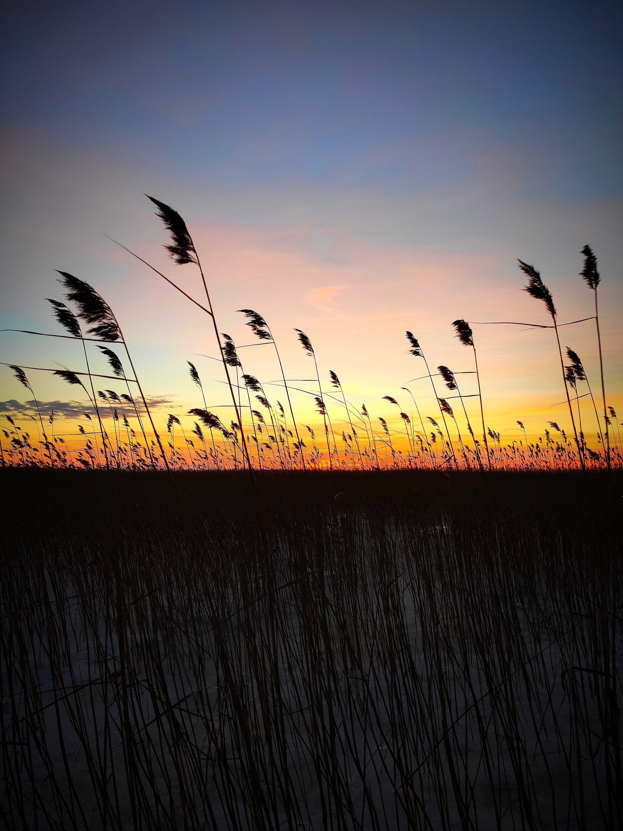 Ladoga. Rise - My, Карелия, Ladoga, Sunrise, beauty, Nature, Fishing, The photo