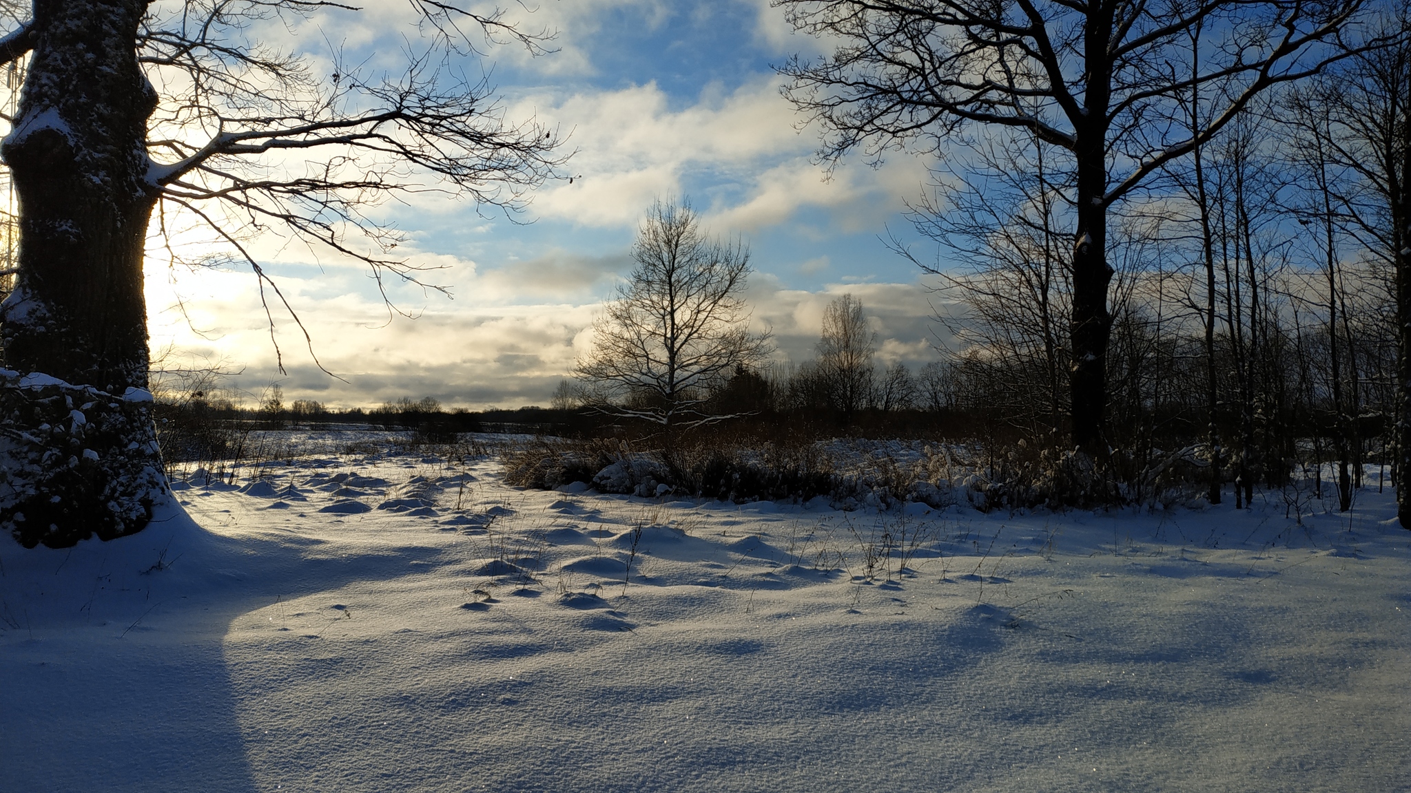 Real Russian winter - My, Village, Sunset, Forest, Winter, Longpost, Nature