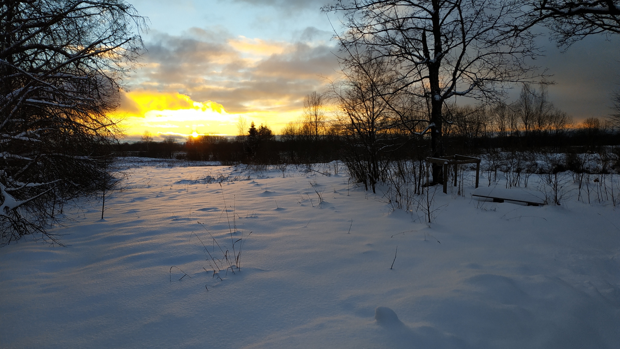 Real Russian winter - My, Village, Sunset, Forest, Winter, Longpost, Nature