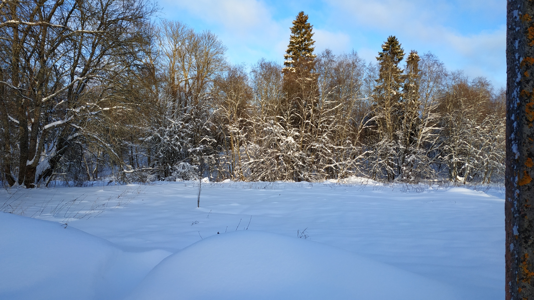 Real Russian winter - My, Village, Sunset, Forest, Winter, Longpost, Nature