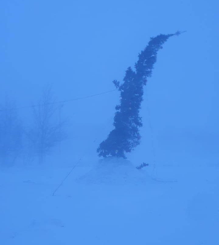 Christmas tree in the village of Evensk, Kolyma - Christmas tree, Magadan Region, Longpost