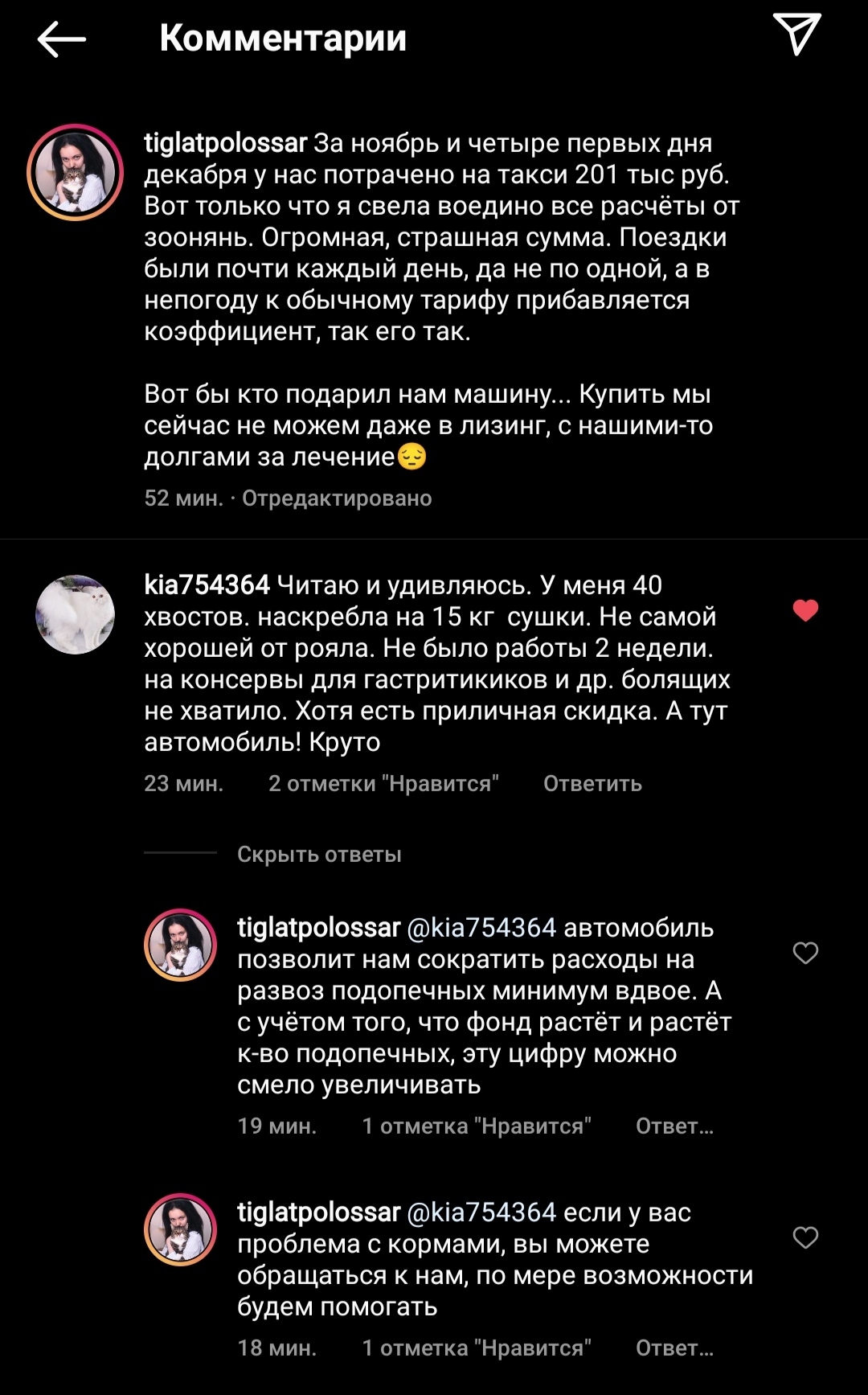 These are the gifts. - Animals, Shelter, Help, Screenshot, Car, Instagram, Moscow, Comments