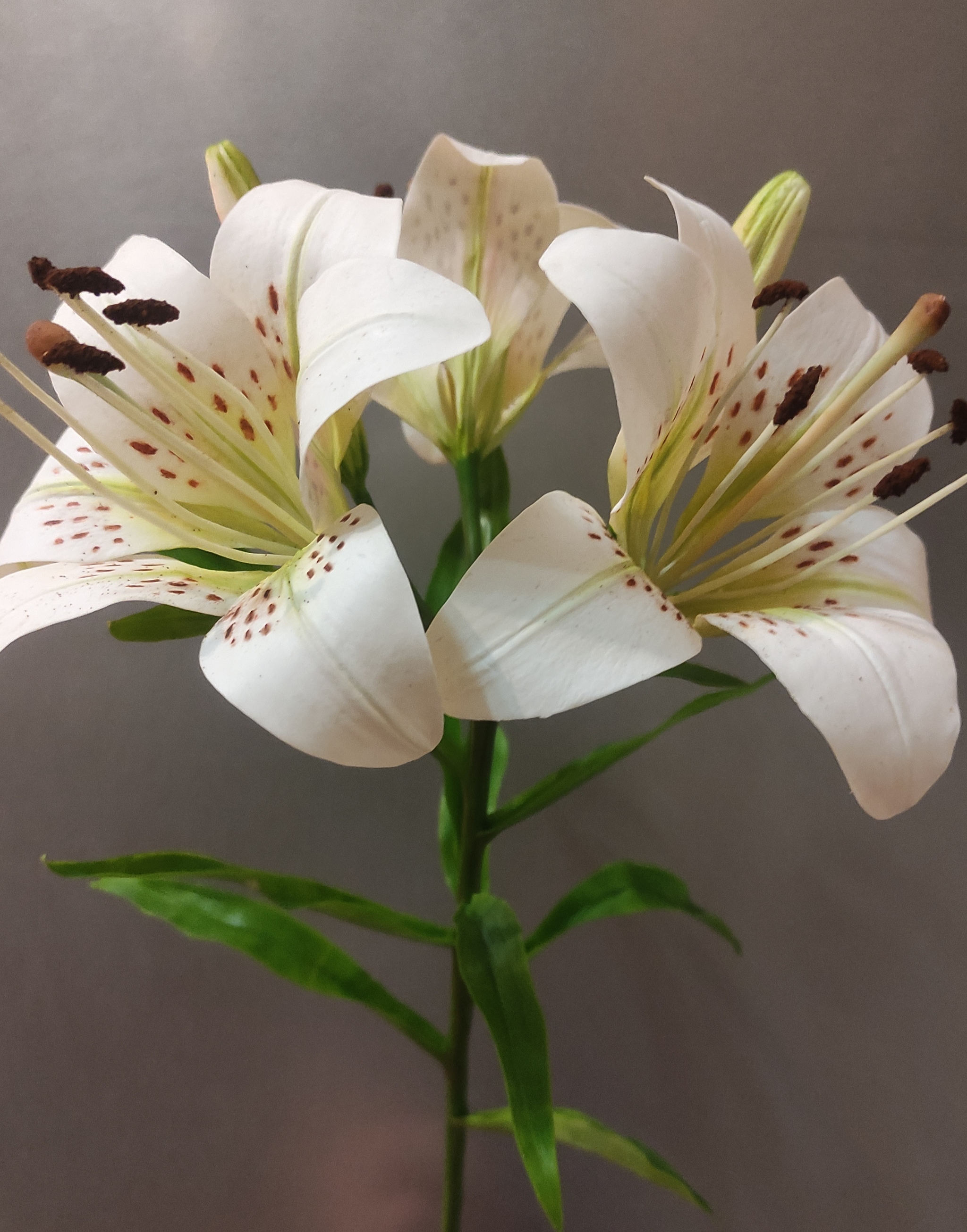 New inspiration - lily and hydrangea - My, Cold porcelain, Hobby, Longpost