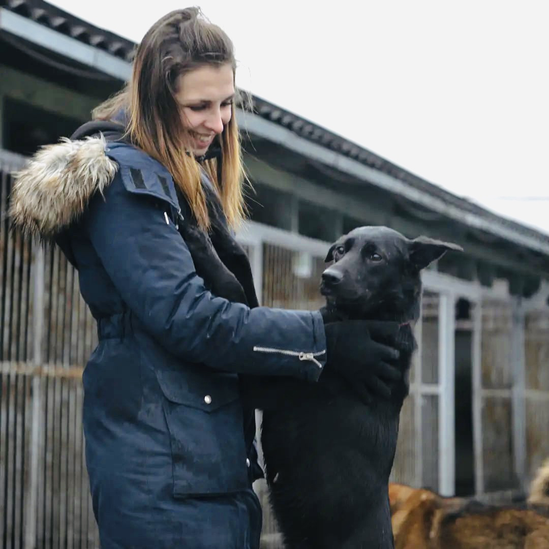 Познакомьтесь с Кляксой! - Моё, Собака, В добрые руки, Помощь животным, Без рейтинга, Санкт-Петербург, Приют для животных, Приют Ржевка, Длиннопост