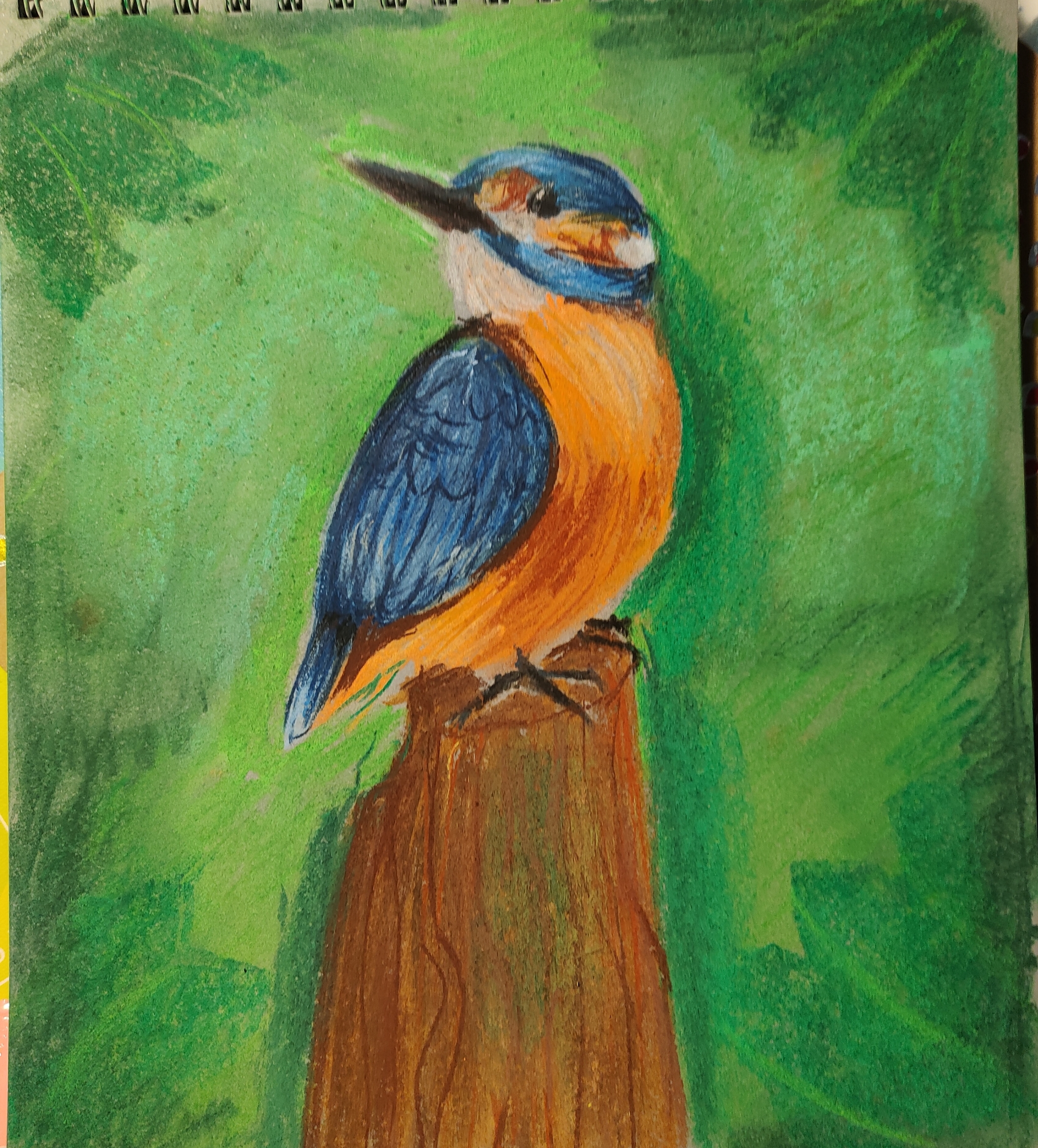 Some pastels - My, Sketchbook, Dry pastel, Pastel, Birds