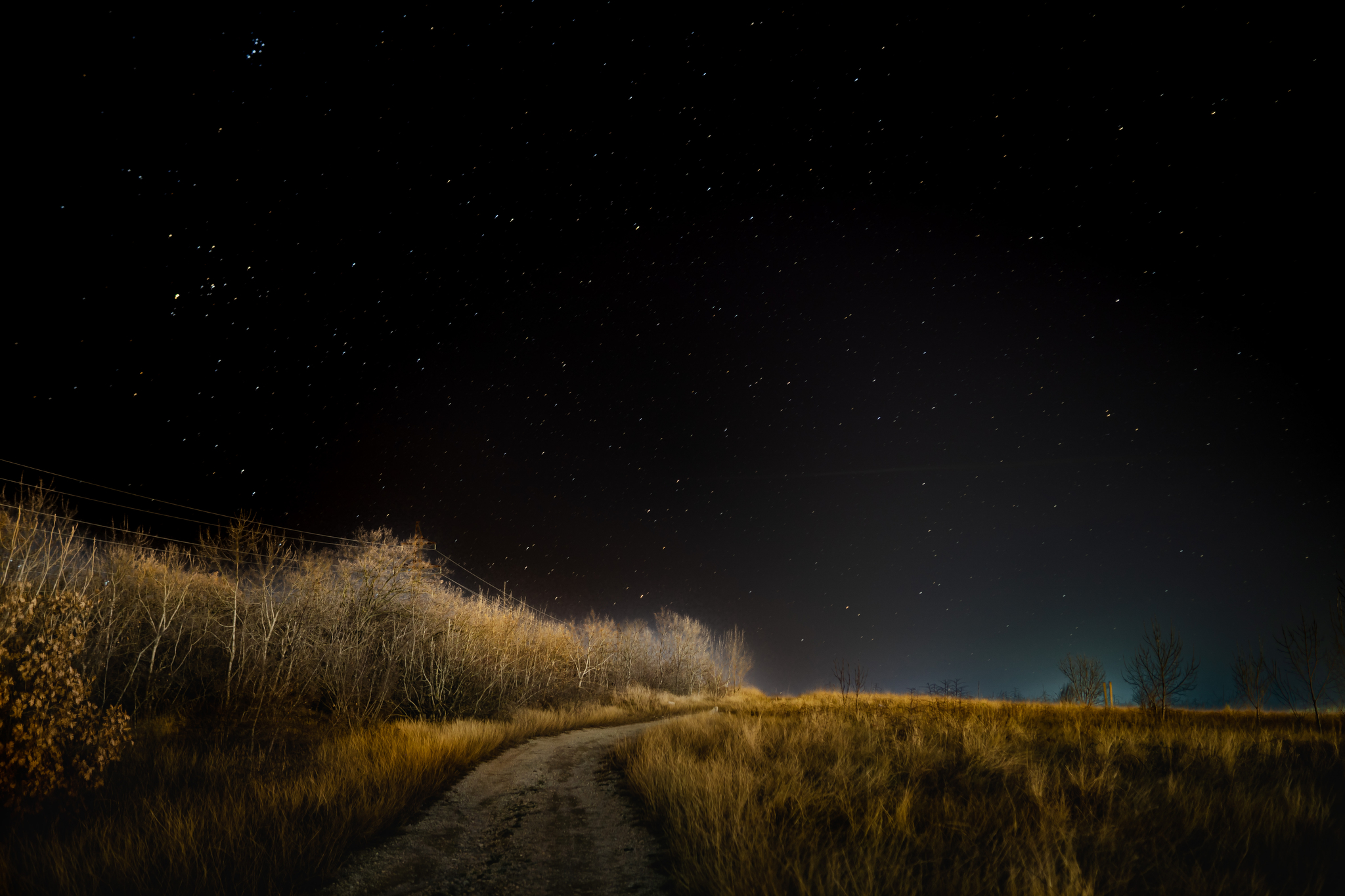 Night road in the field - My, Night, Field, Stars, Road, The photo