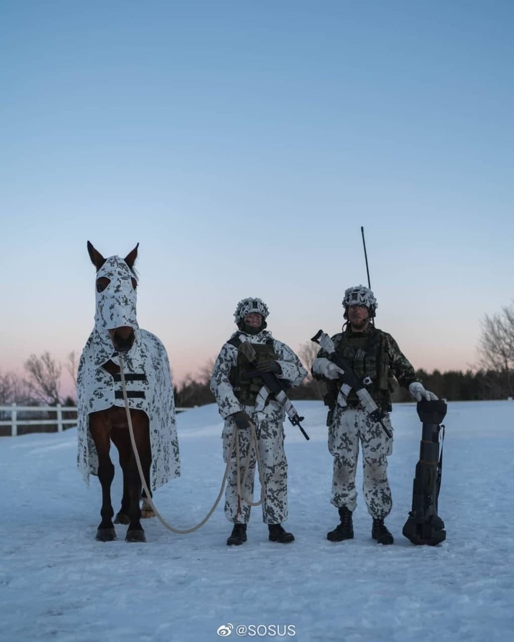 Mounted grenade thrower - Finland, Army, The soldiers, Grenade launcher, Horses, Winter, Camouflage, Longpost