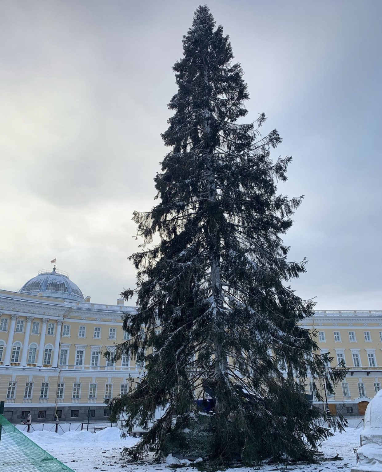 Петербуржцев возмутил вид главной новогодней ели за 13 млн рублей - Моё, Ёлки, Санкт-Петербург, Деньги, Длиннопост