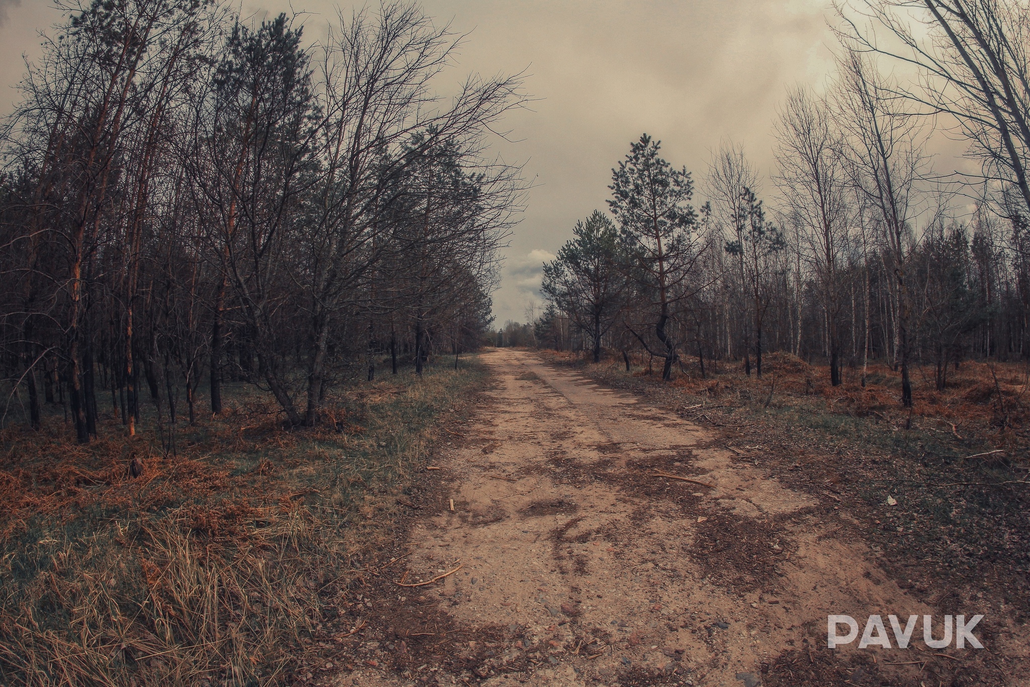 In April we were in Ruzhany. On the way, we decided to pop into the former location of the 2nd Division of the 403rd Missile Regiment. - My, Abandoned, Military history, Cold war, Nuclear weapon, Rocket Forces, History of the USSR, the USSR, Ruins, Republic of Belarus, Longpost, Politics